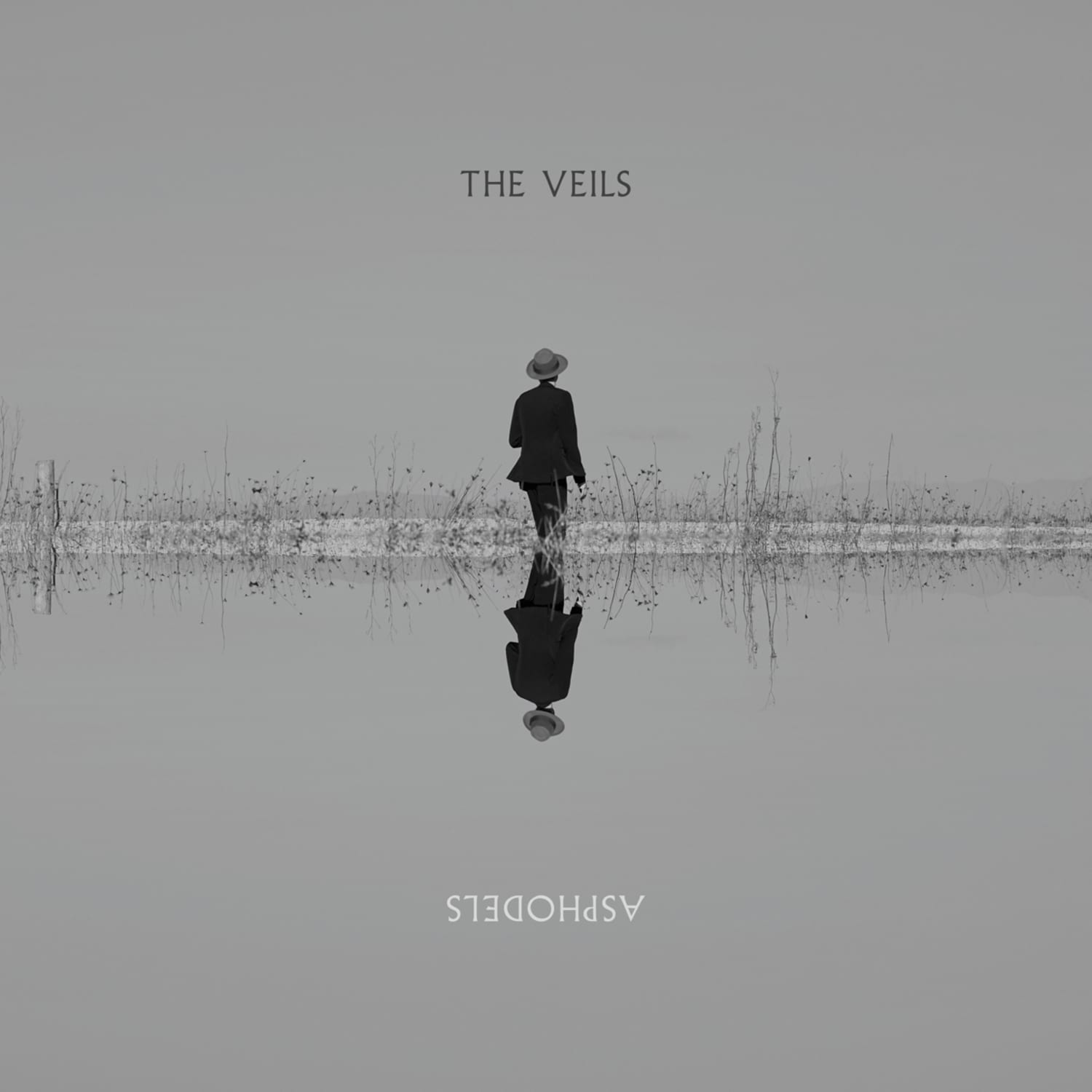 Veils - ASPHODELS 