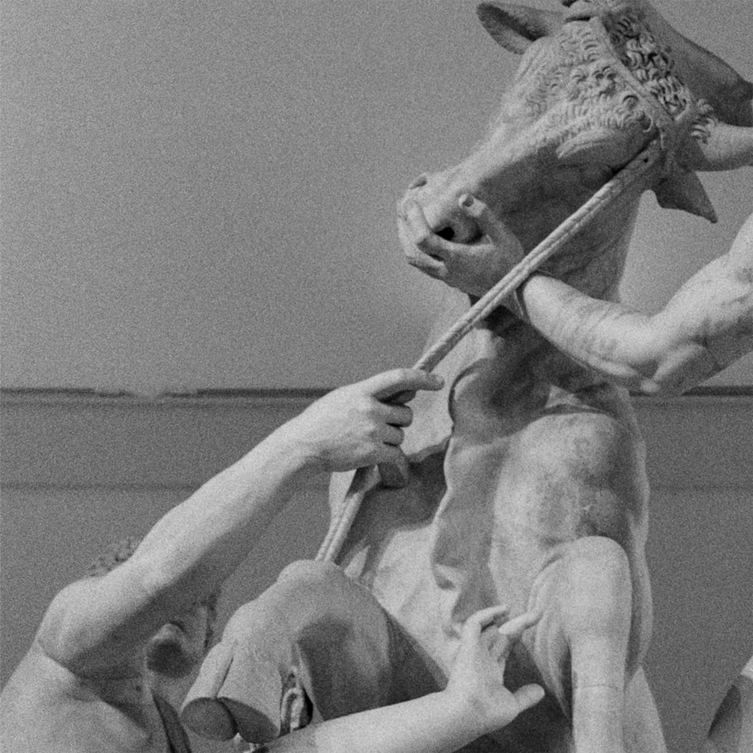 Al Wootton - CALVINIST HOSPITALITY