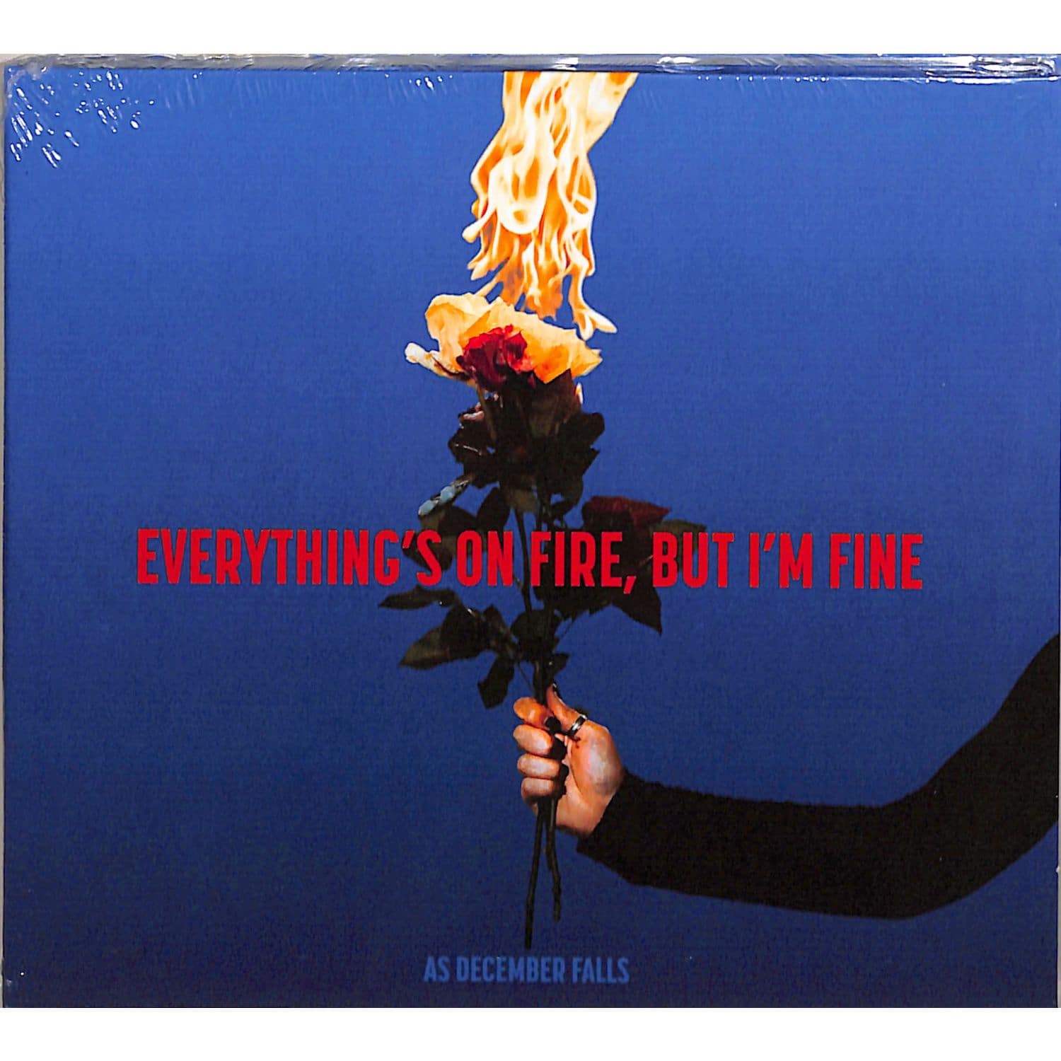 As December Falls - EVERYTHING S ON FIRE BUT I M FINE 
