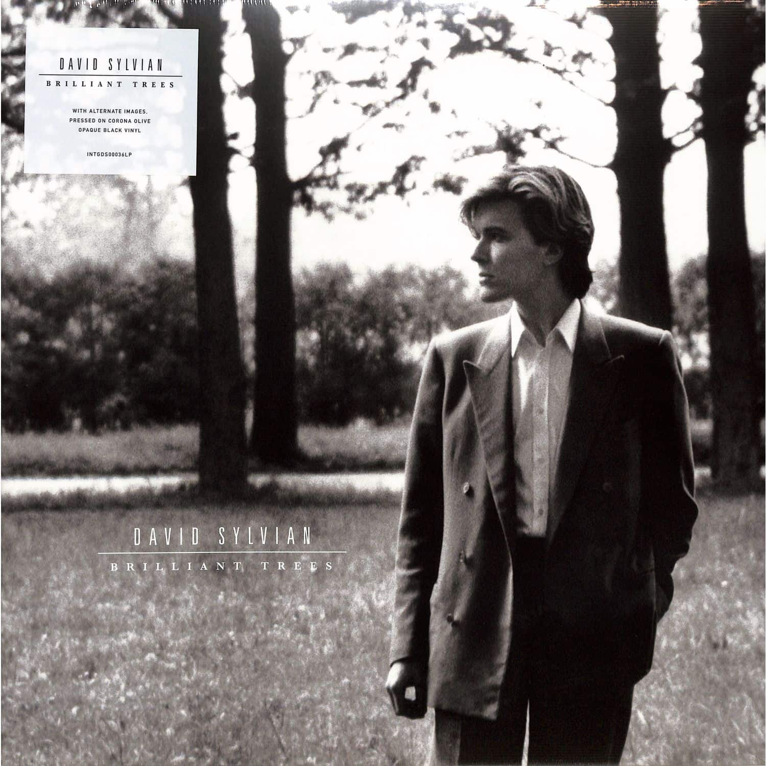 David Sylvian - BRILLIANT TREES 