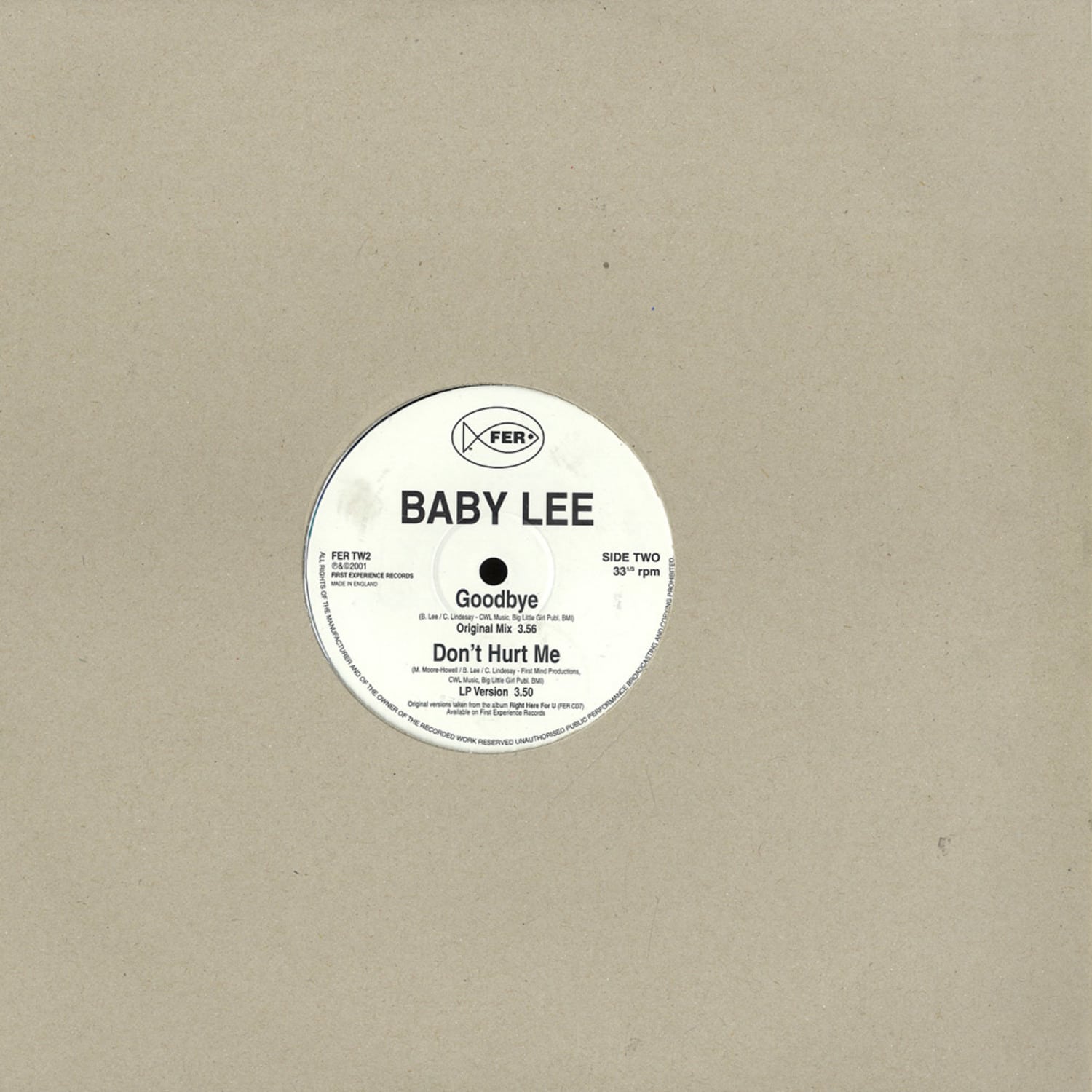 Baby Lee - GOODBYE / DONT HURT ME