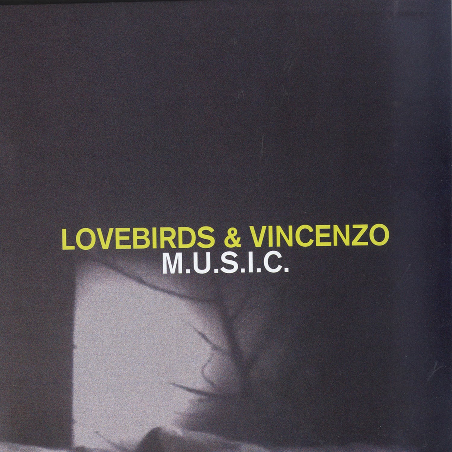 Lovebirds & Vincenzo - M.U.S.I.C.