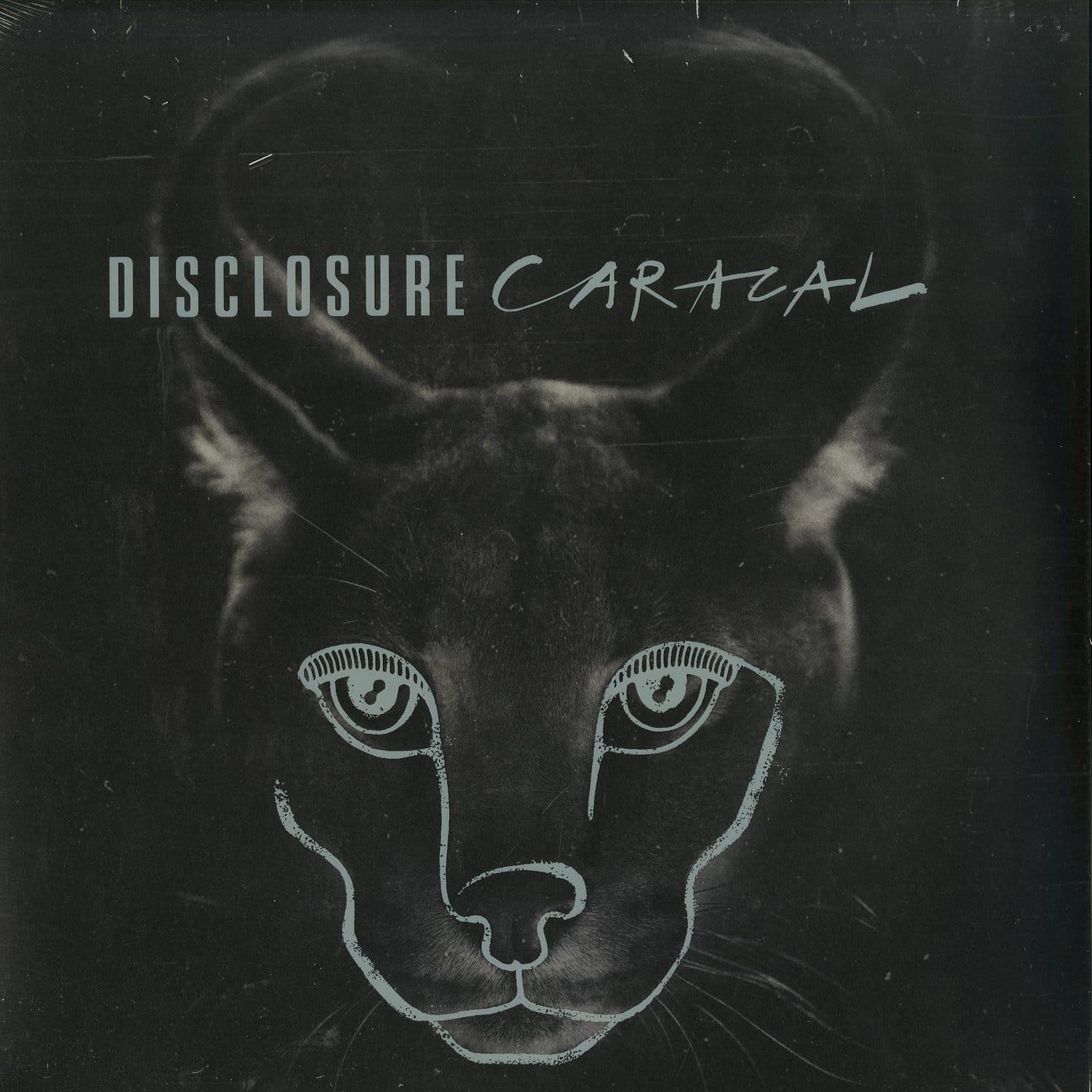 Disclosure - CARACAL 