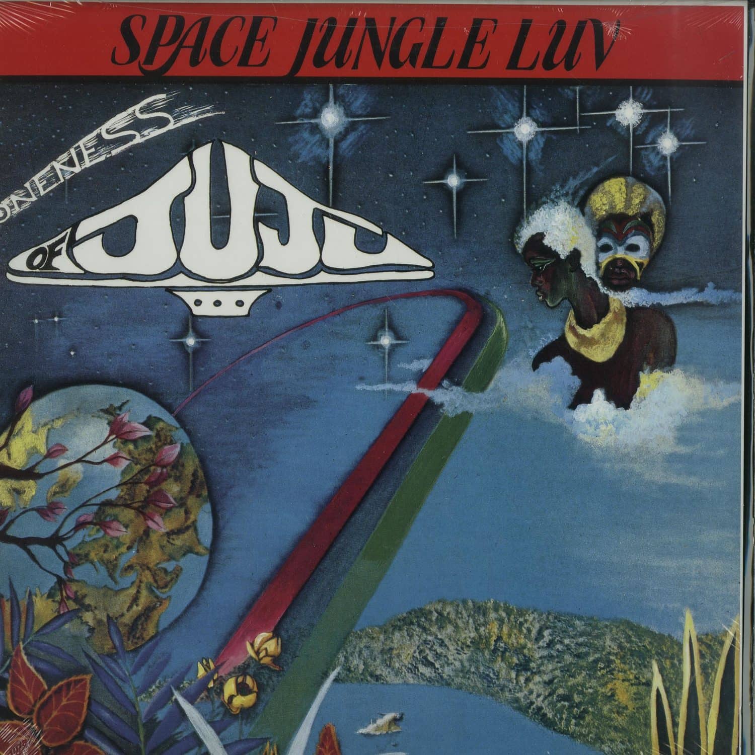 Oneness Of Juju - SPACE JUNGLE LUV