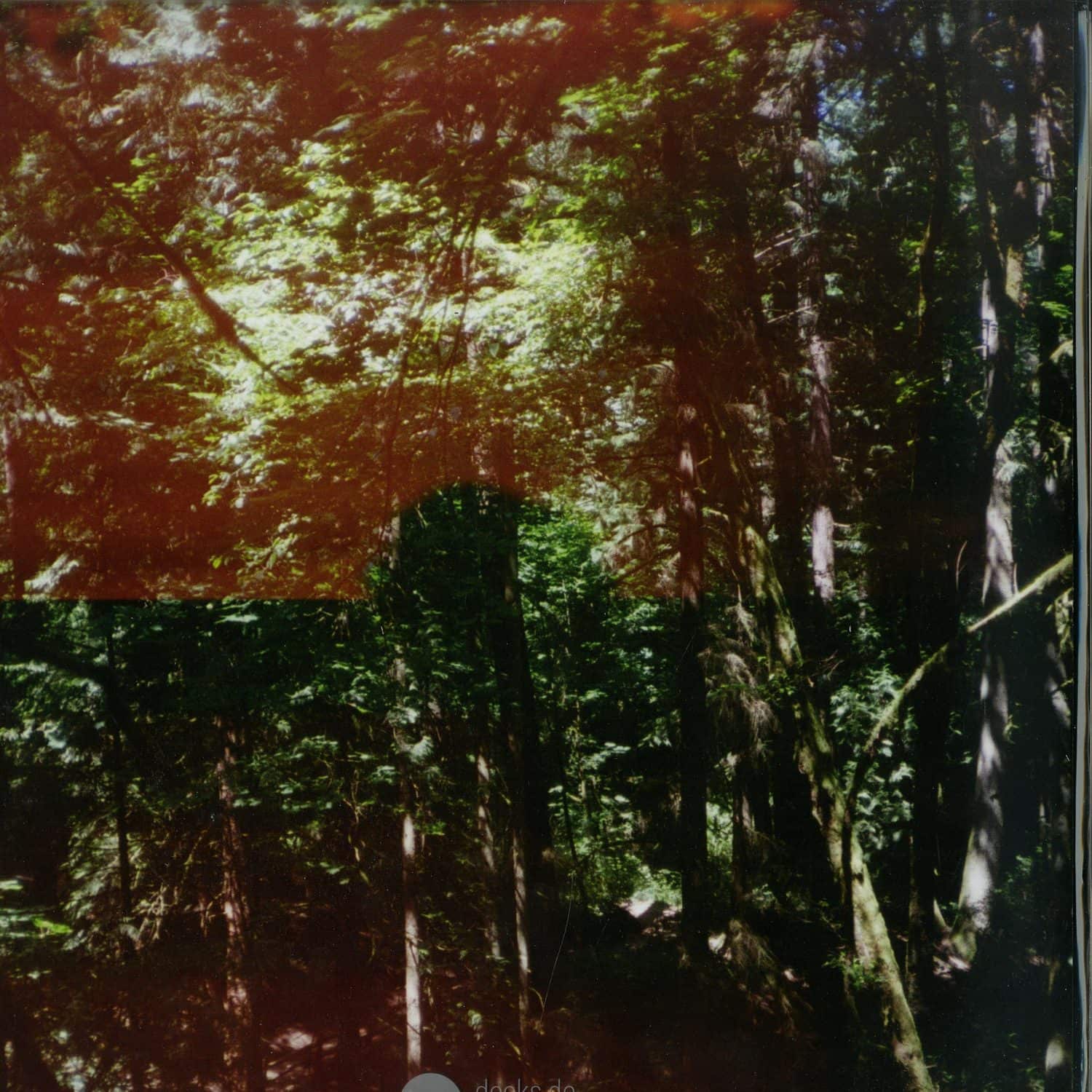 Jefre Cantu-Ledesma - IN SUMMER