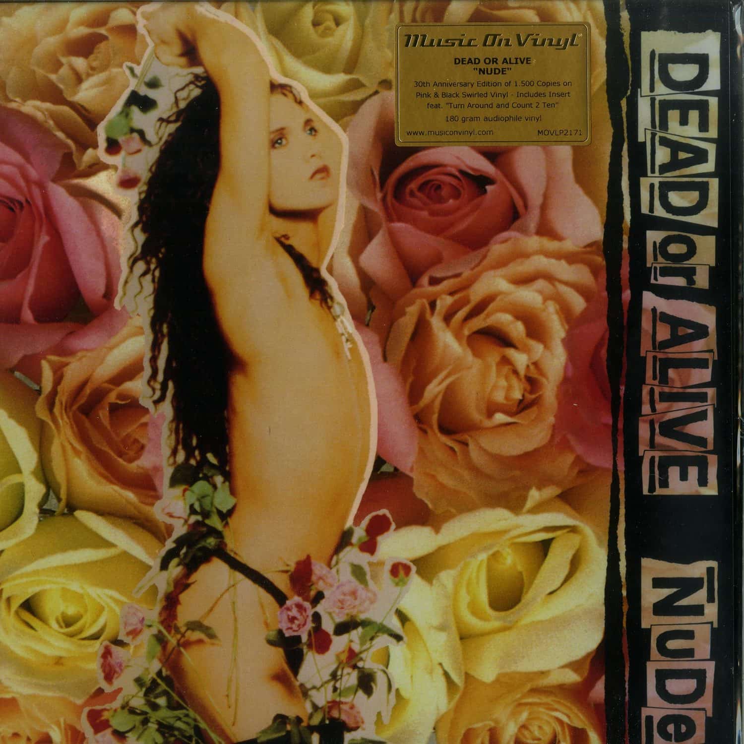Dead Or Alive - NUDE 