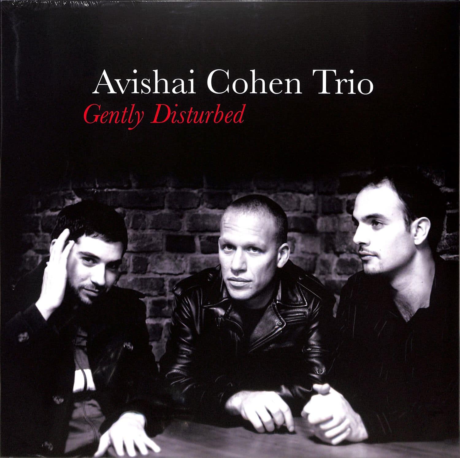 Avishai Cohen Trio - GENTLY DISTURBED 