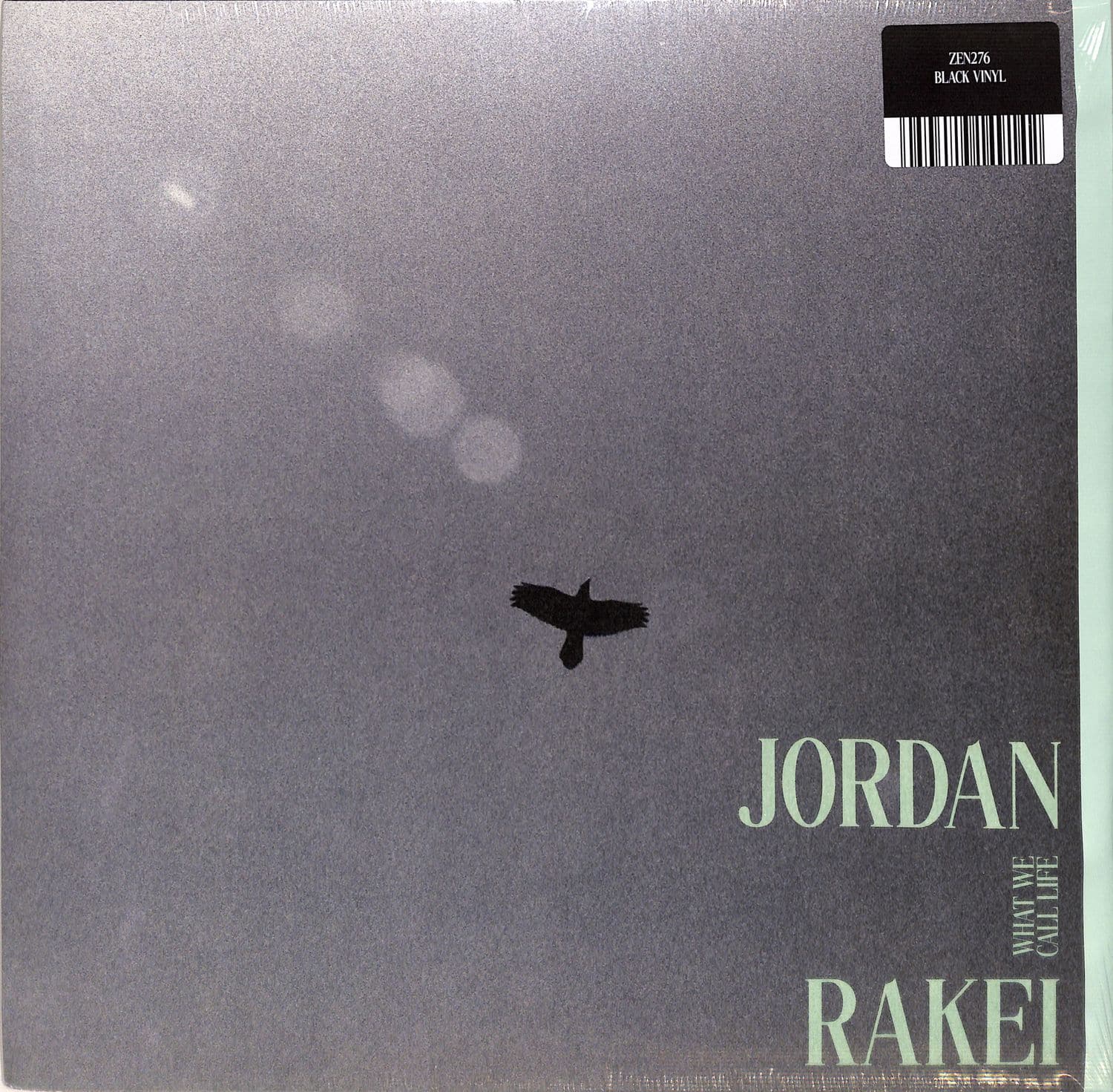 Jordan Rakei - WHAT WE CALL LIFE 