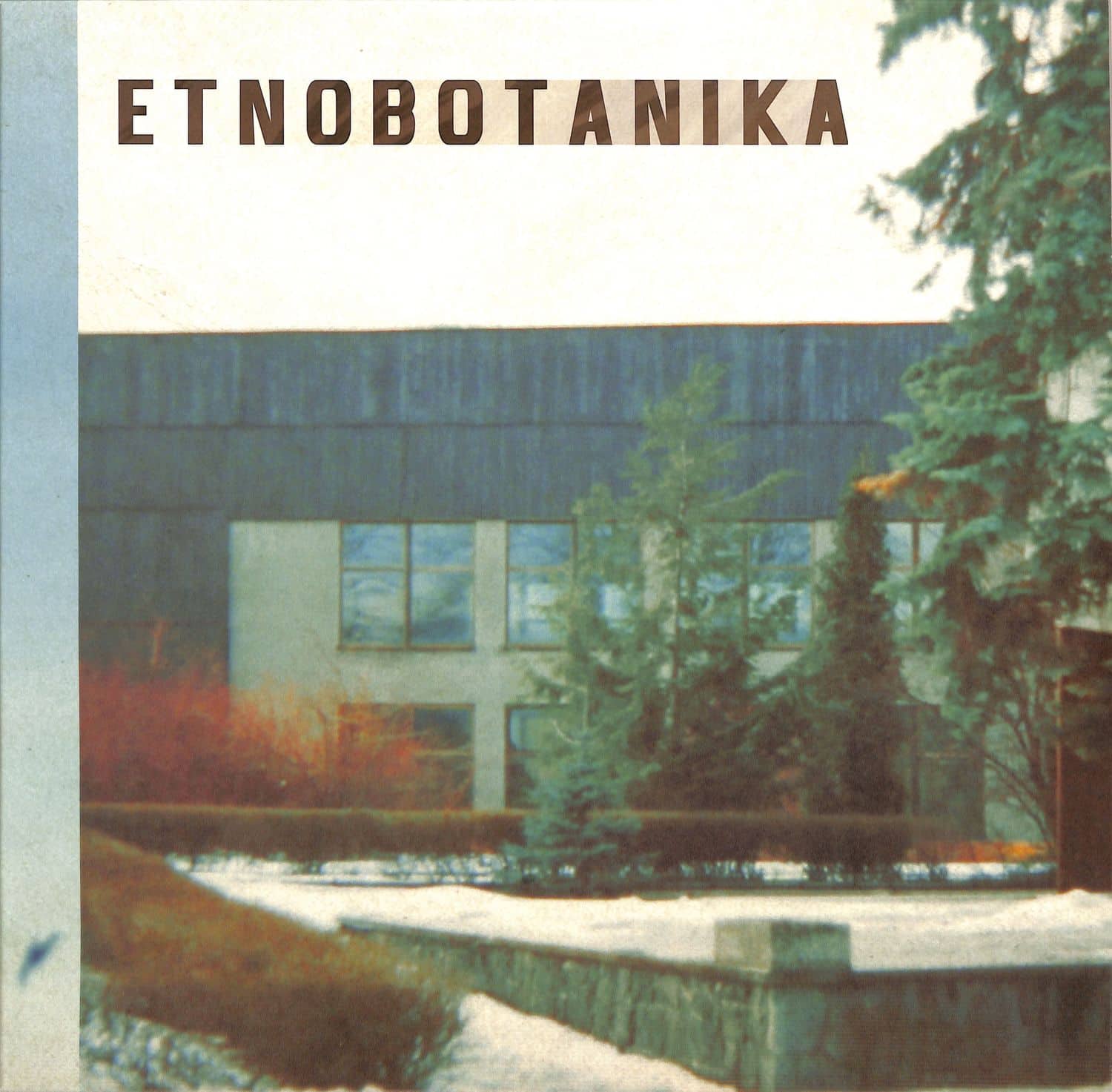 Etnobotanika - FRUWAJACY PRZESTEPCA