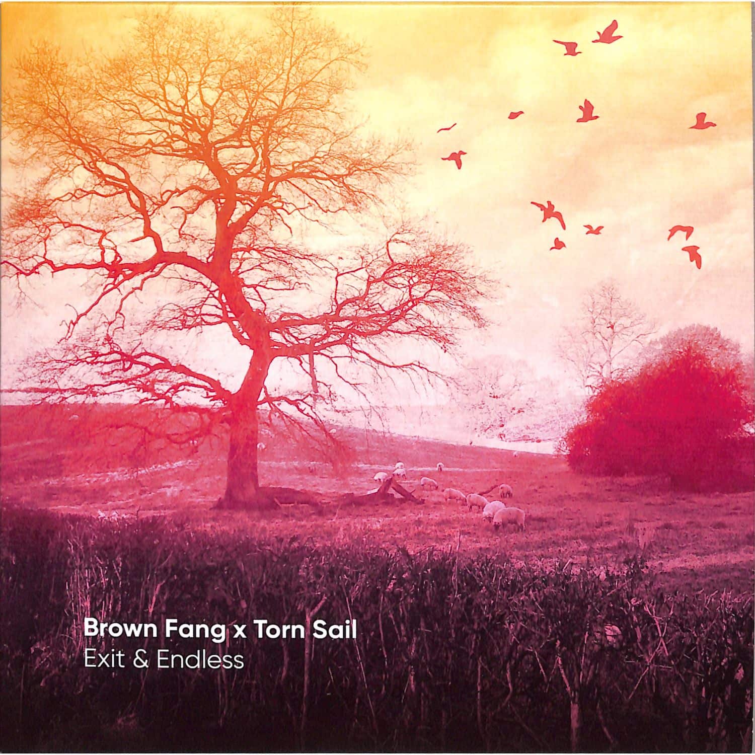 Brown Fang x Torn Sail - EXIT & ENDLESS 