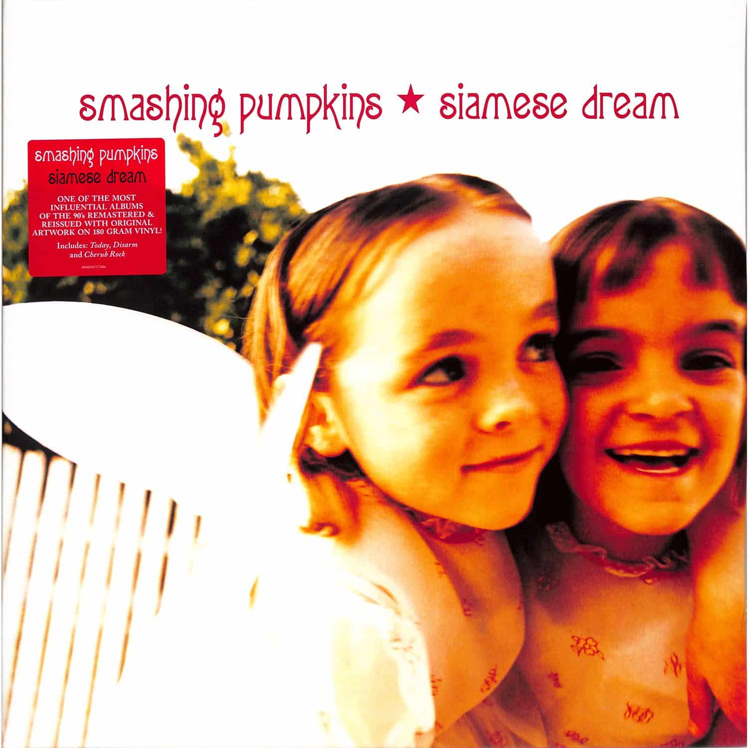 The Smashing Pumpkins - SIAMESE DREAM 