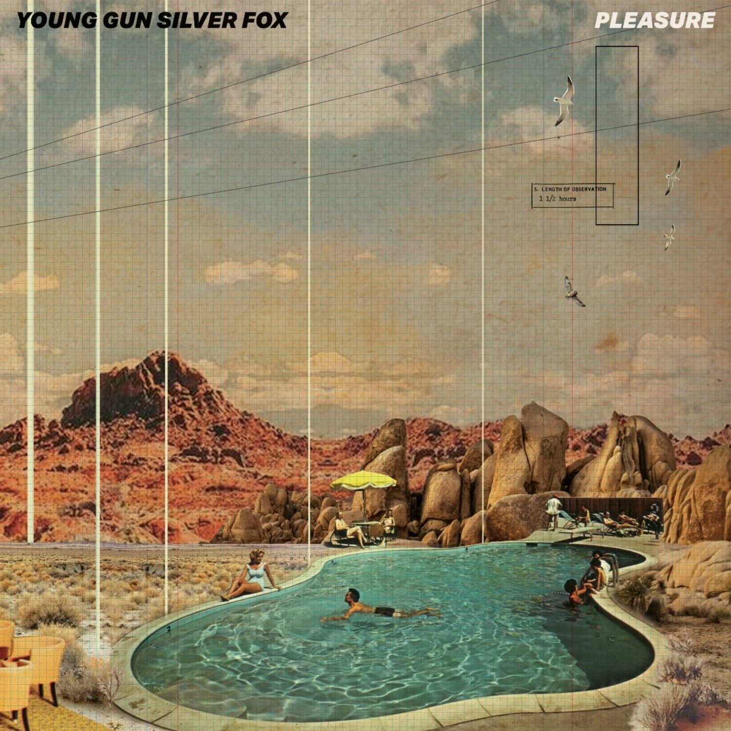 Young Gun Silver Fox - PLEASURE 
