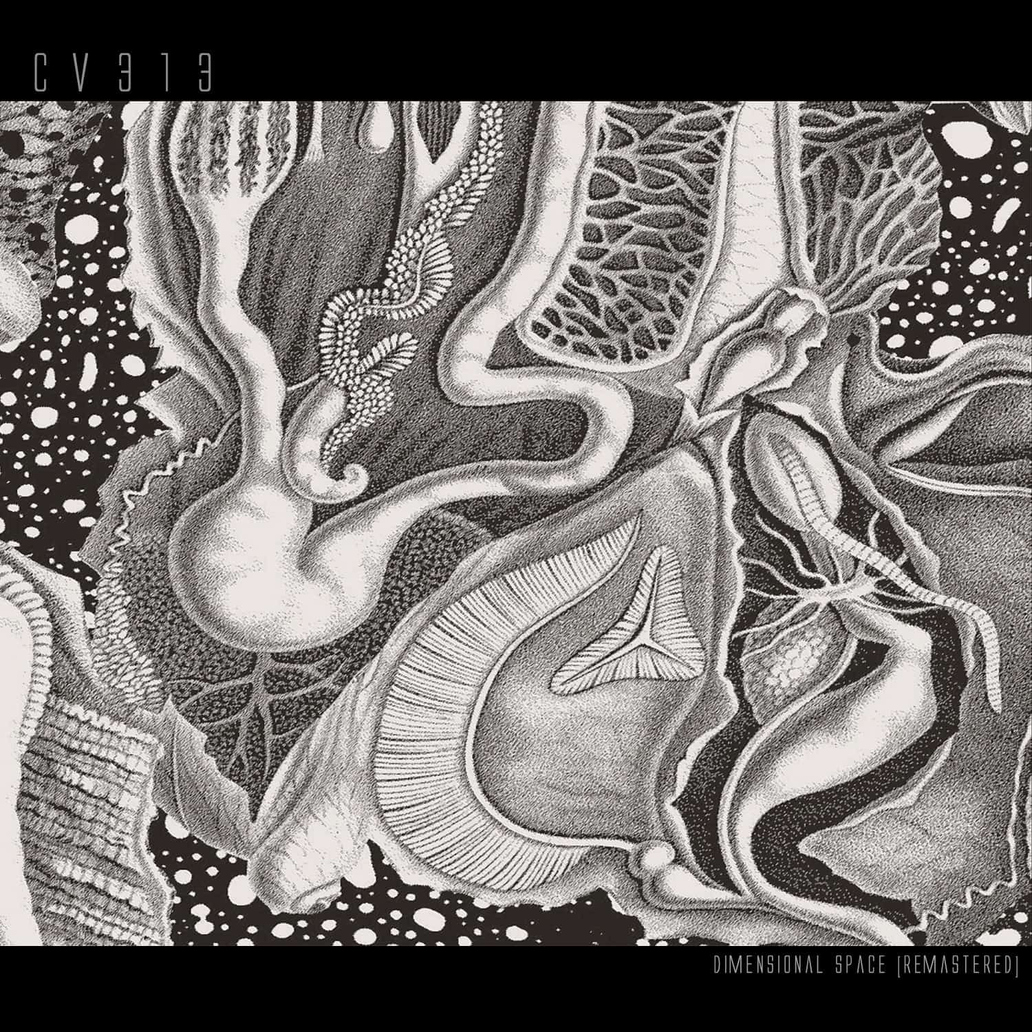 CV313 - DIMENSIONAL SPACE 