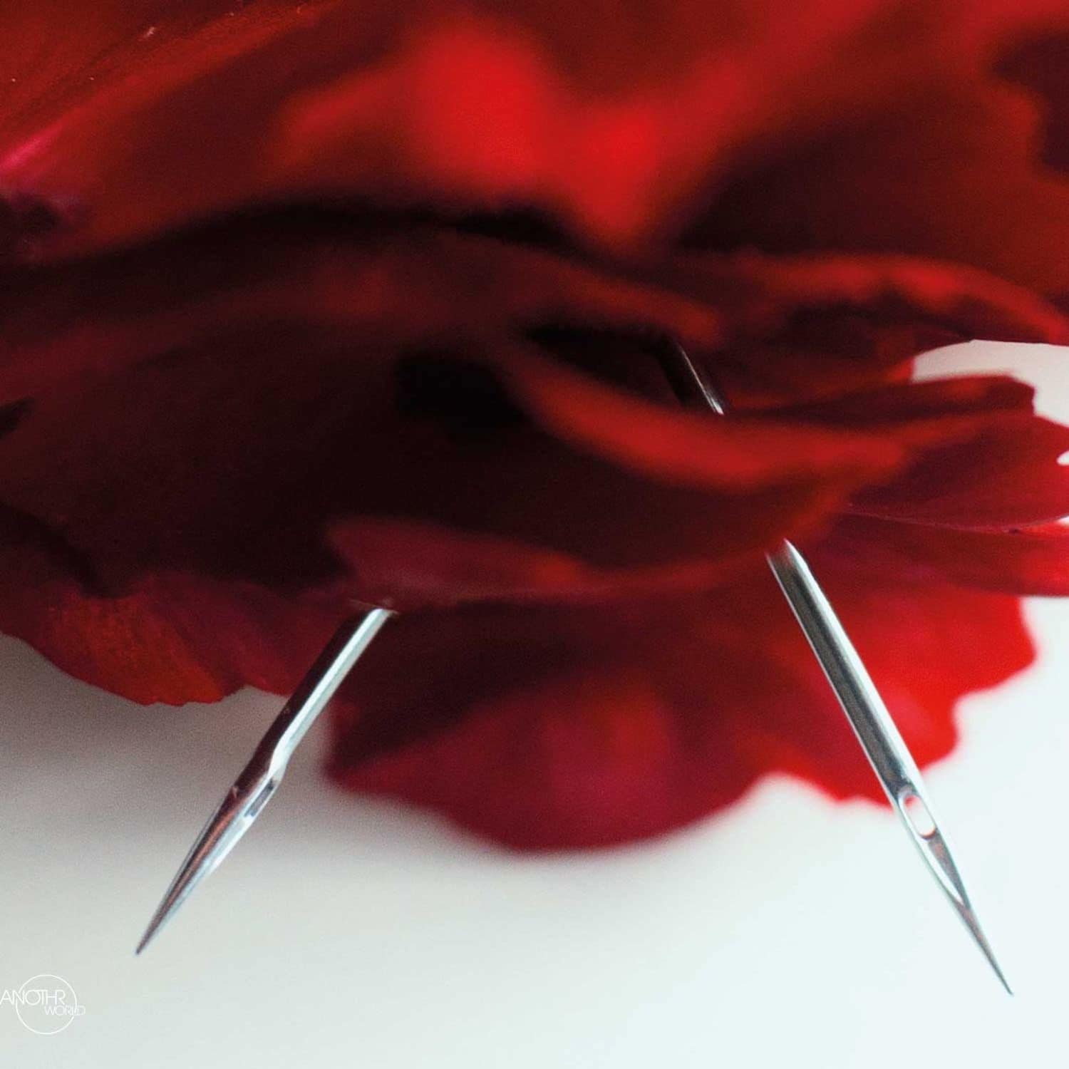 Rostm, Tauceti, Kaiser  - CARNE