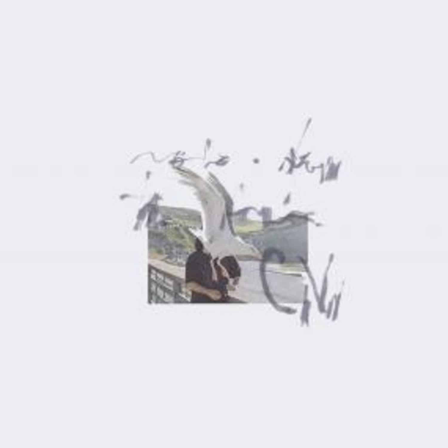 Ciro Vitiello - NOTES FROM THE AIR