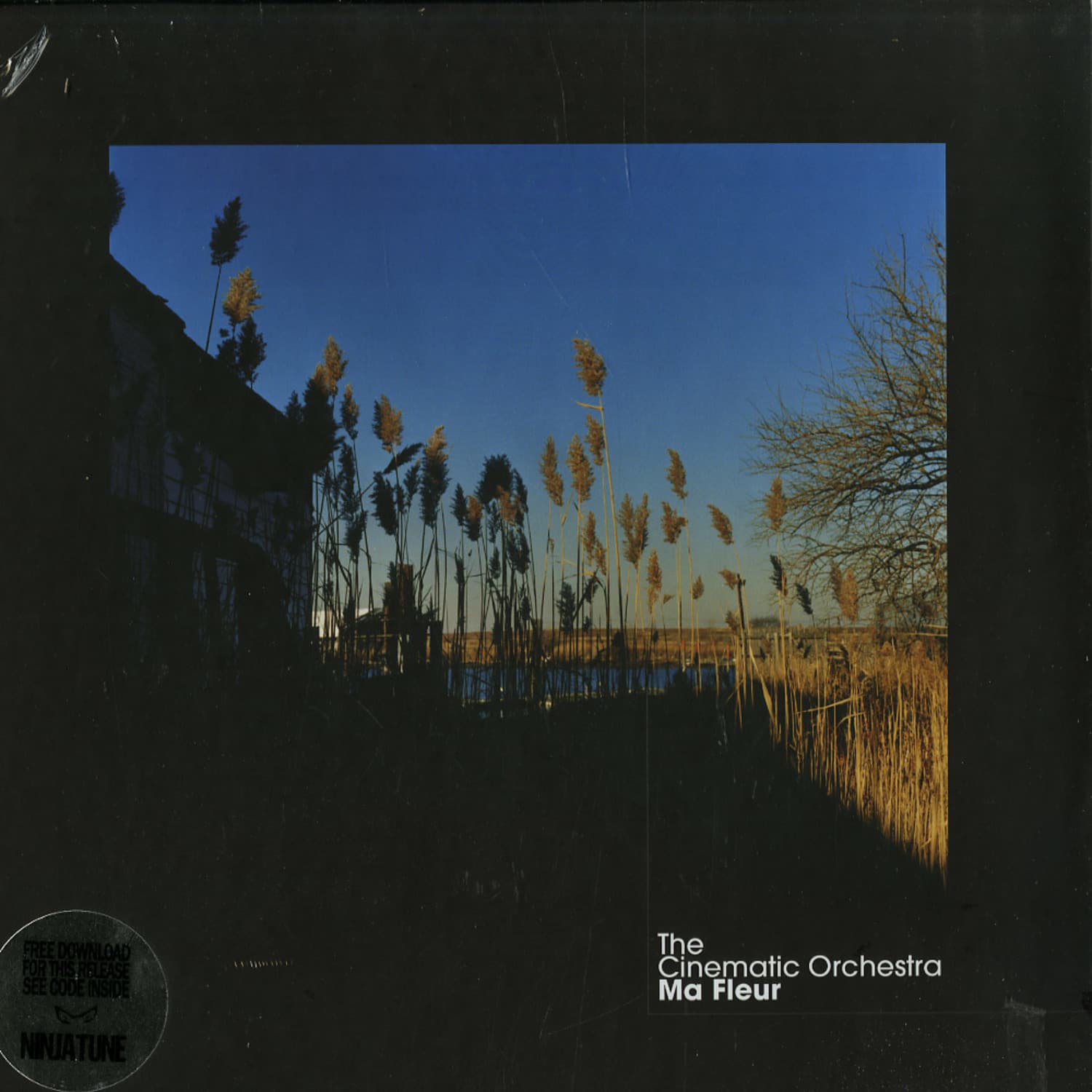 The Cinematic Orchestra - MA FLEUR 