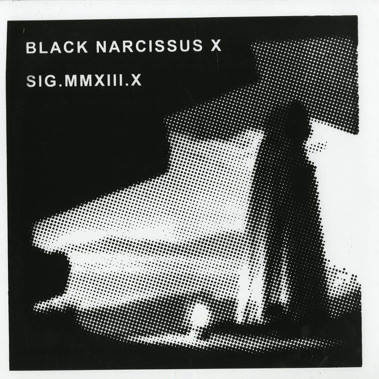 Black Narcissus X - Black Narcissus X
