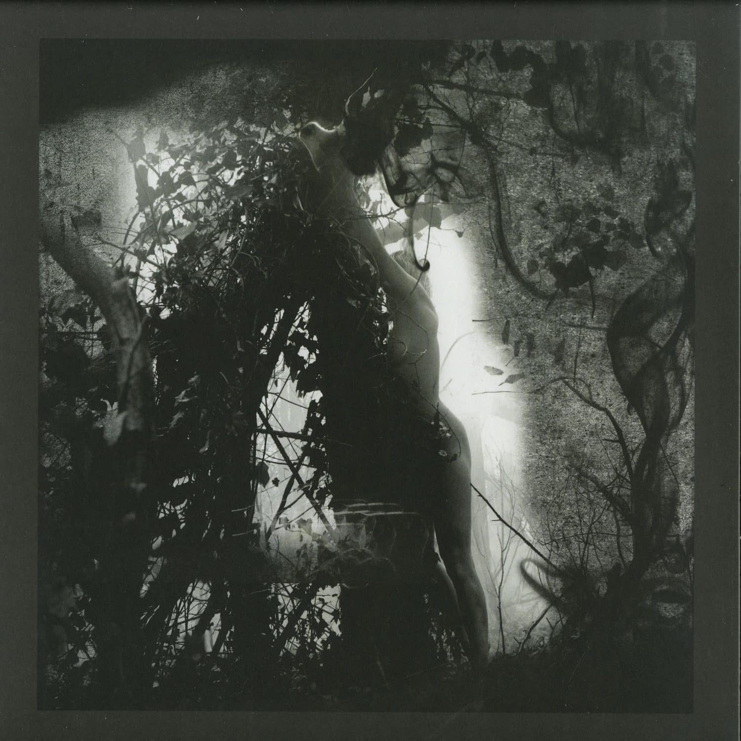 Pisetzky - TEARS OF A ROUGH MACHINE 