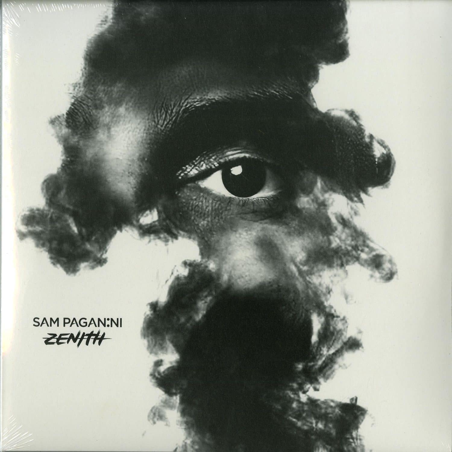 Sam Paganini - ZENITH LP 
