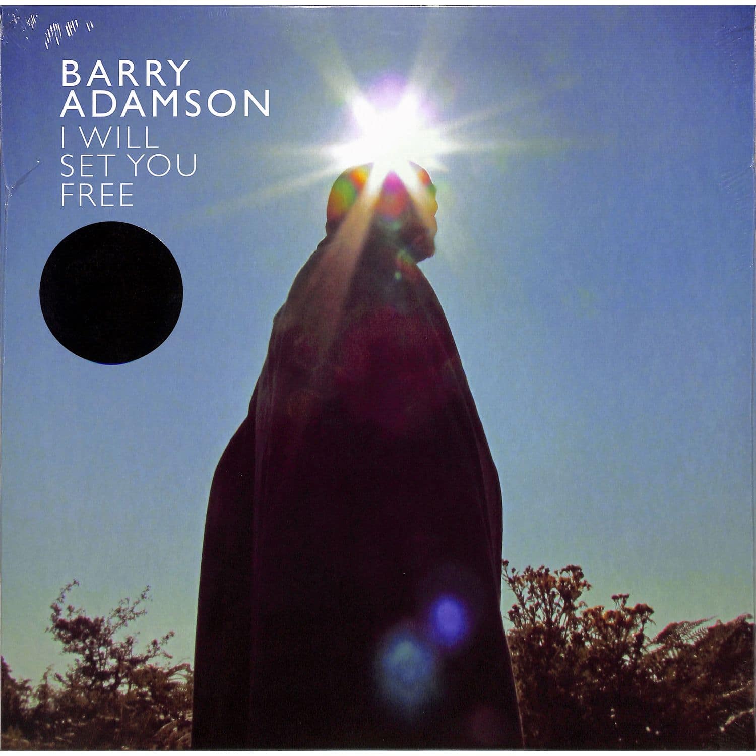  Barry Adamson - I WILL SET YOU FREE 
