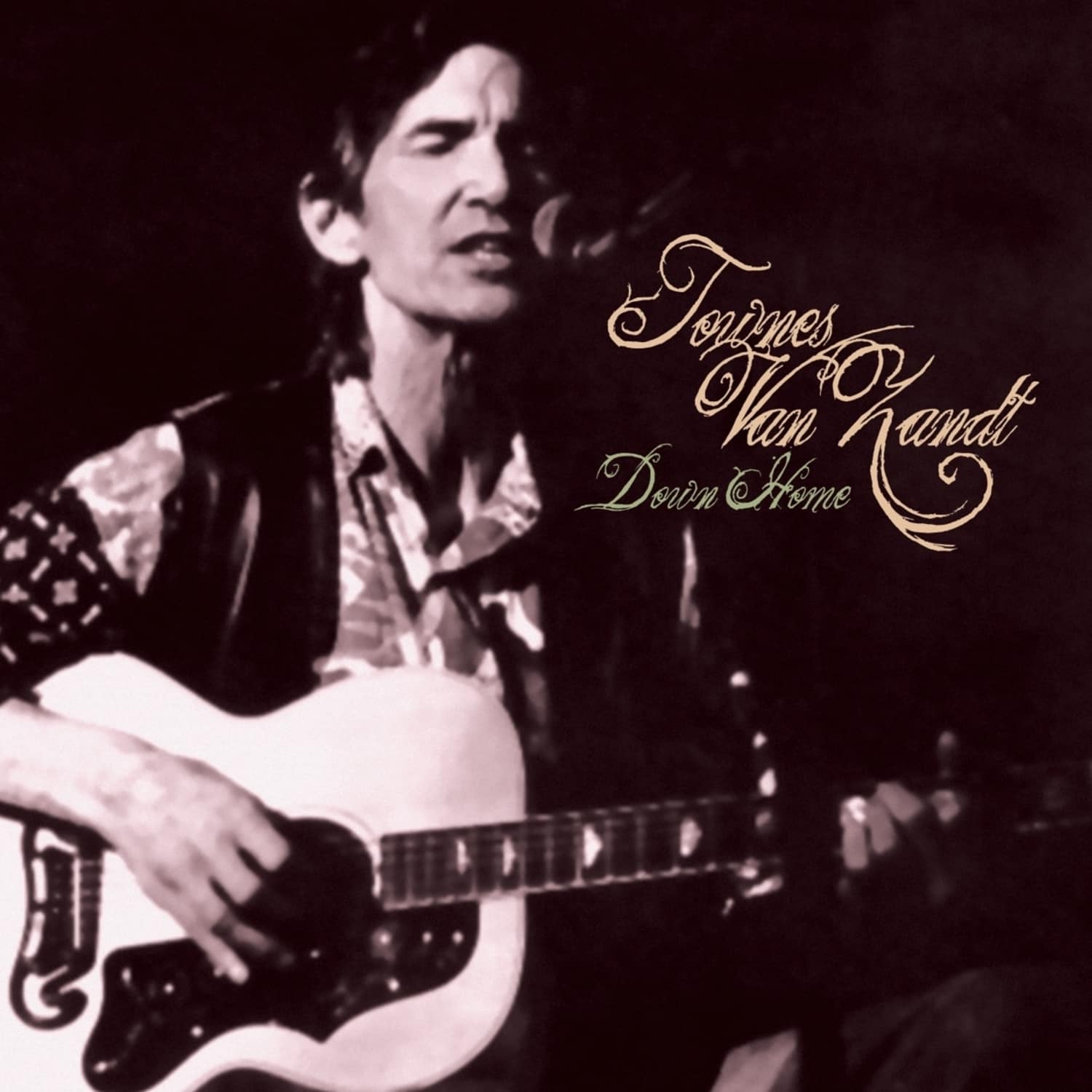  Townes van Zandt - DOWN HOME 