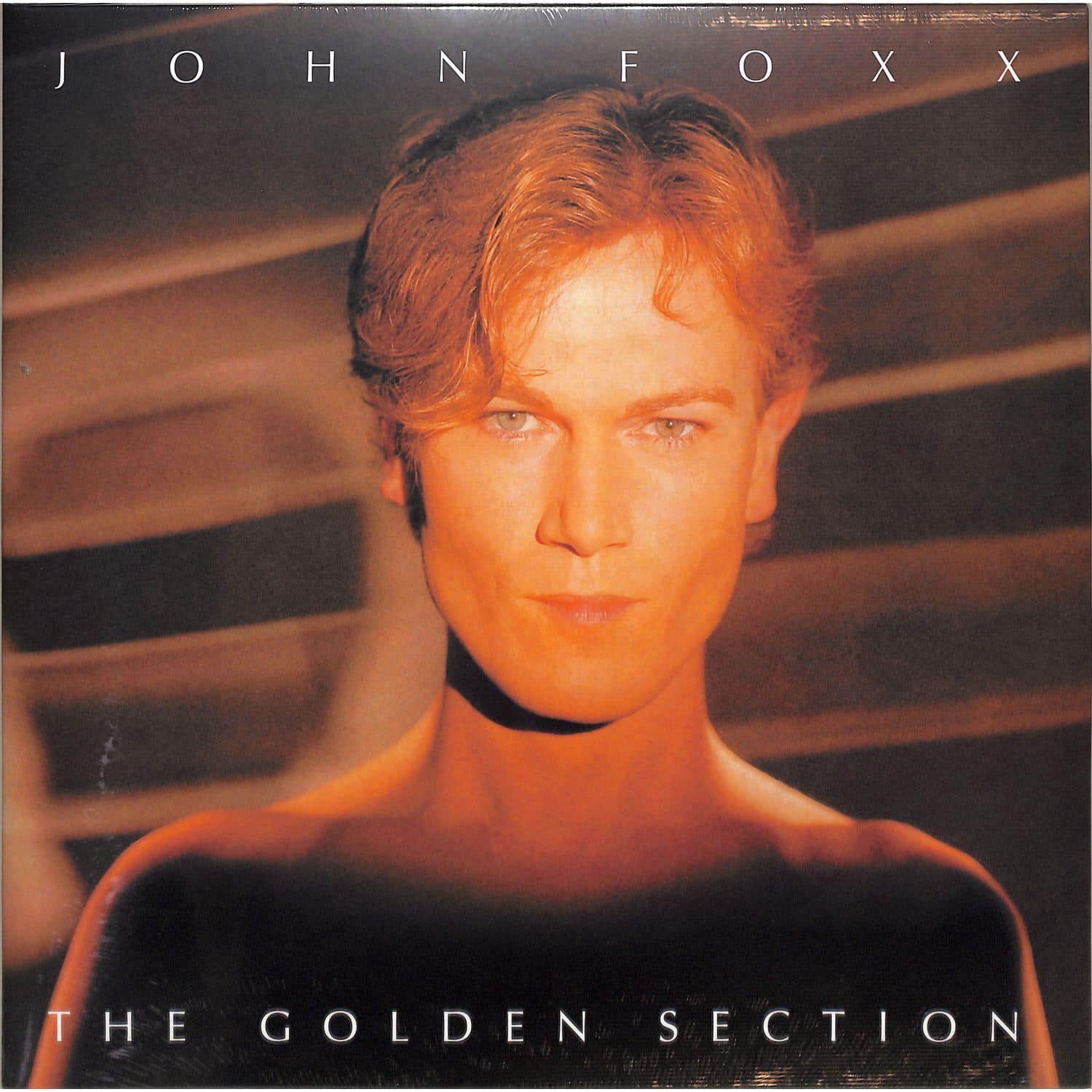 John Foxx - THE GOLDEN SECTION 