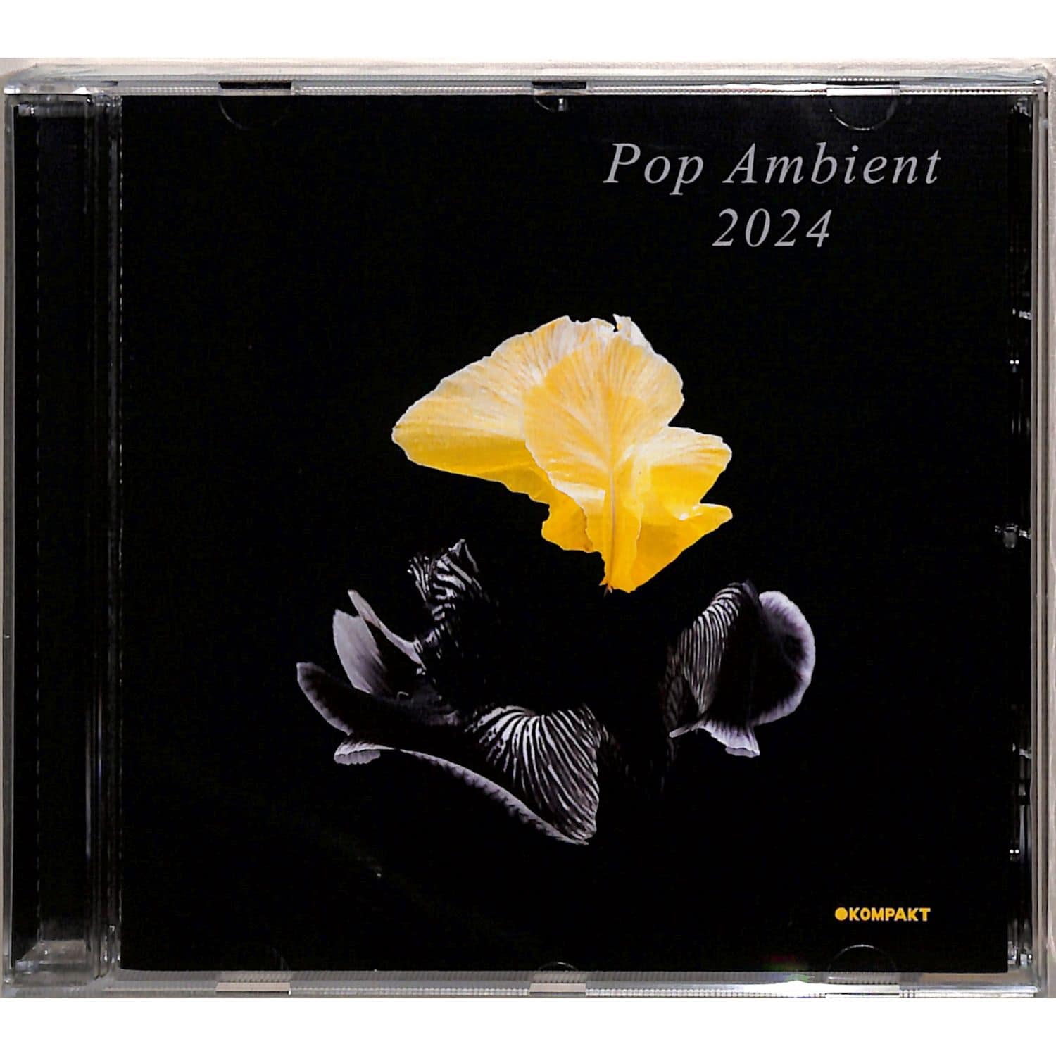 Various Artists - POP AMBIENT 2024 