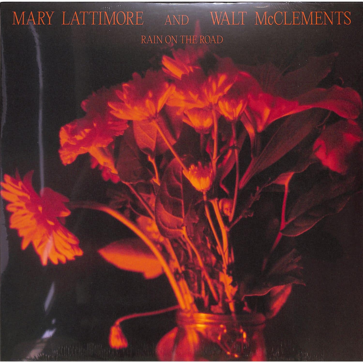 Mary Lattimore & Walt McClements - RAIN ON THE ROAD 