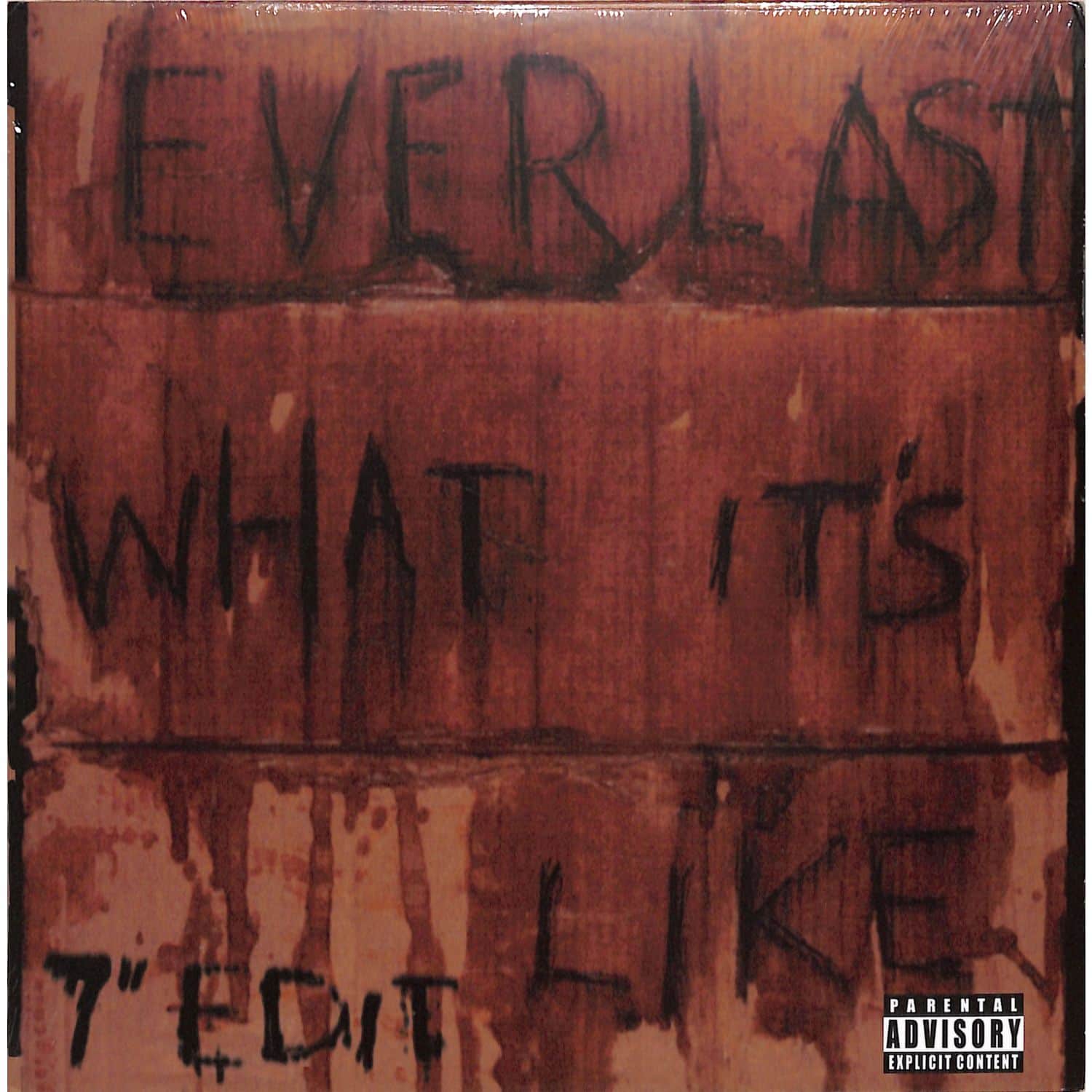 Everlast - WHAT ITS LIKE / ENDS 