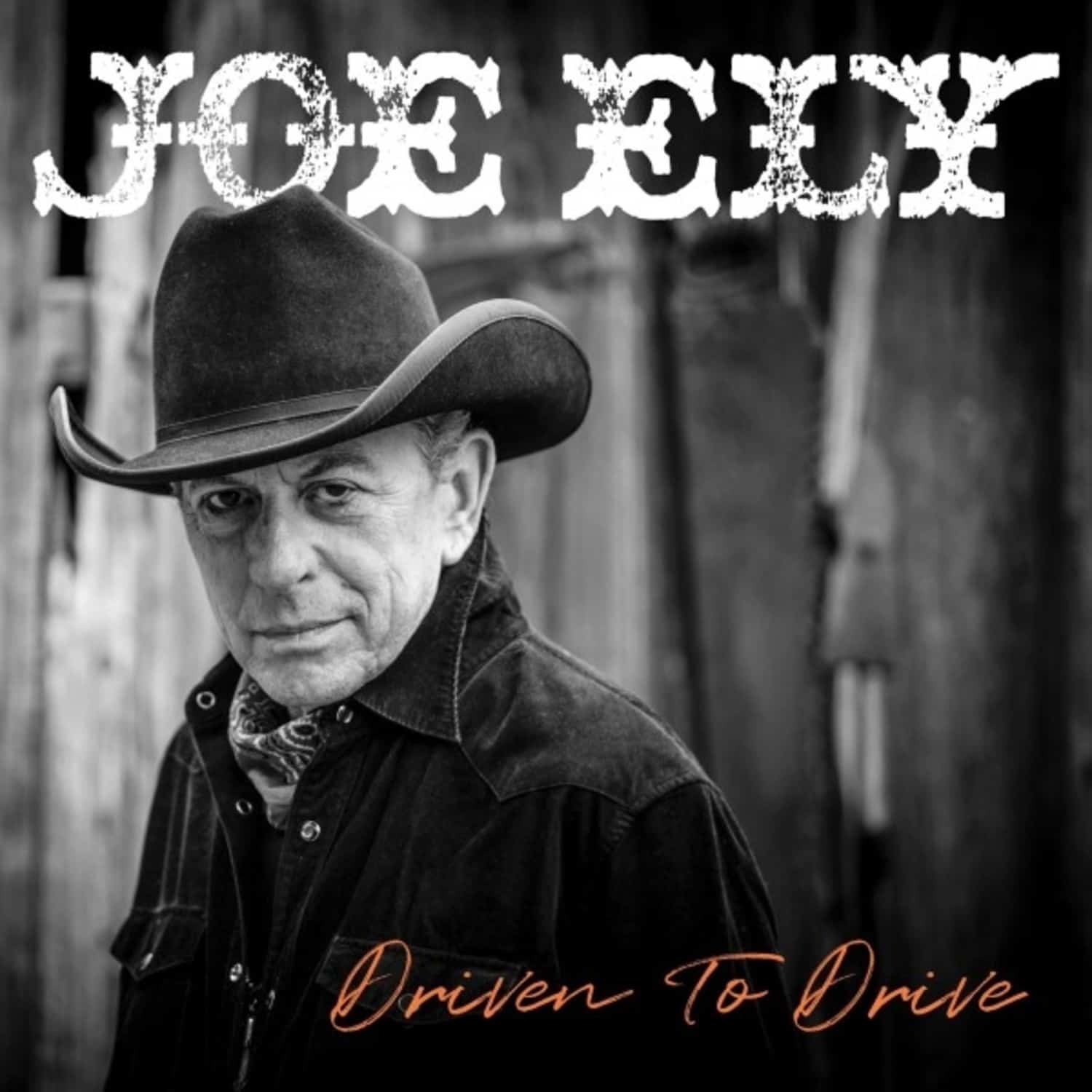 Joe Ely - DRIVEN TO DRIVE 