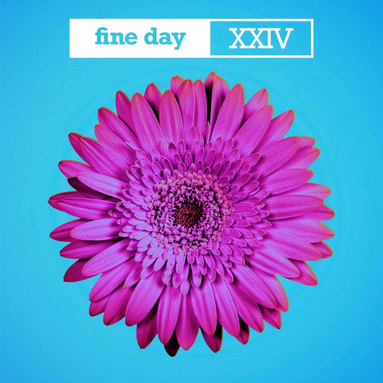 Opus III - FINE DAY XXIV 