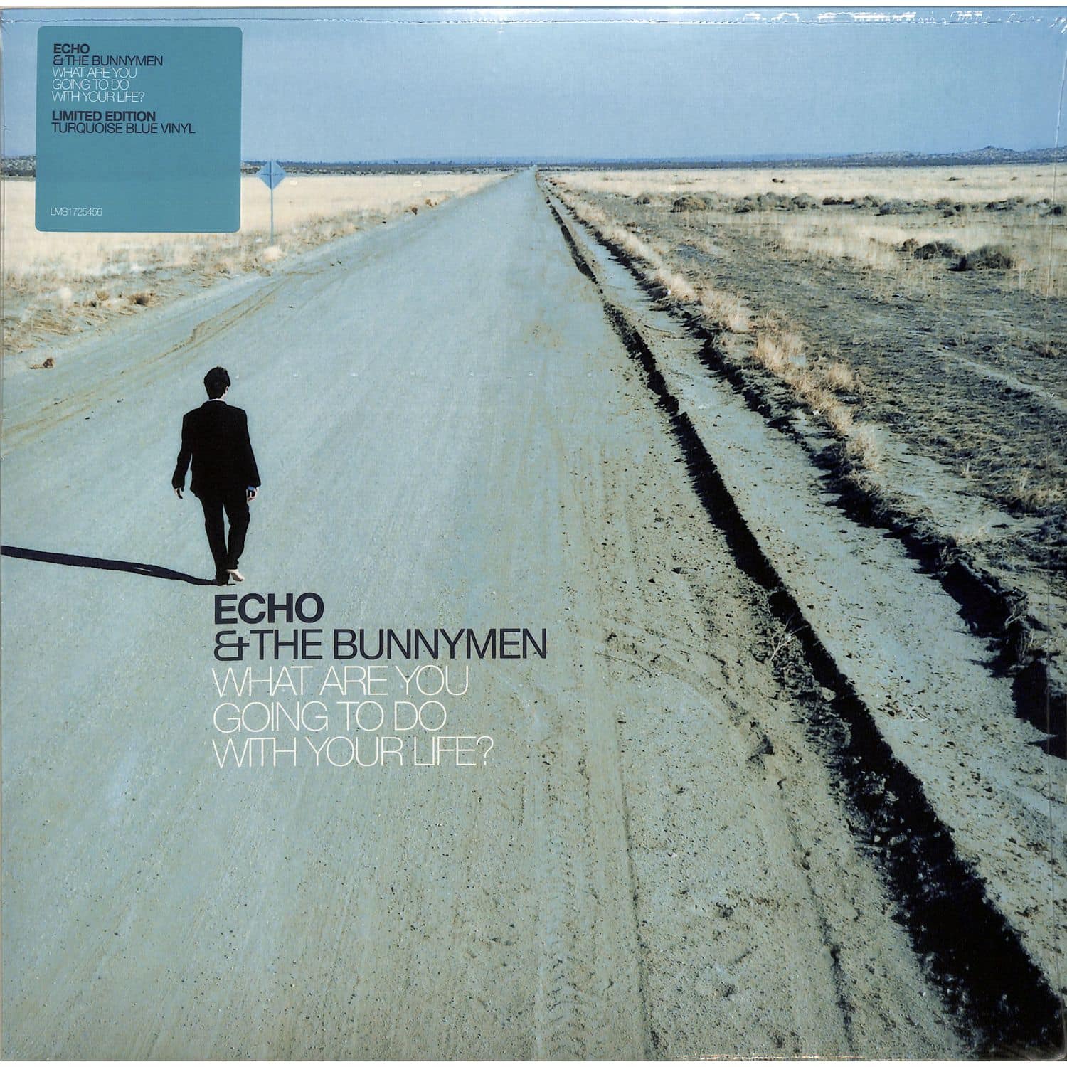 Echo and The Bunnymen - WHAT ARE YOU GOING TO DO WITH YOUR LIFE ? 
