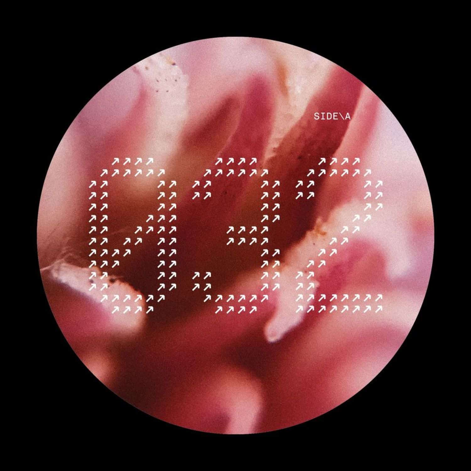 Various Artists - NECH032