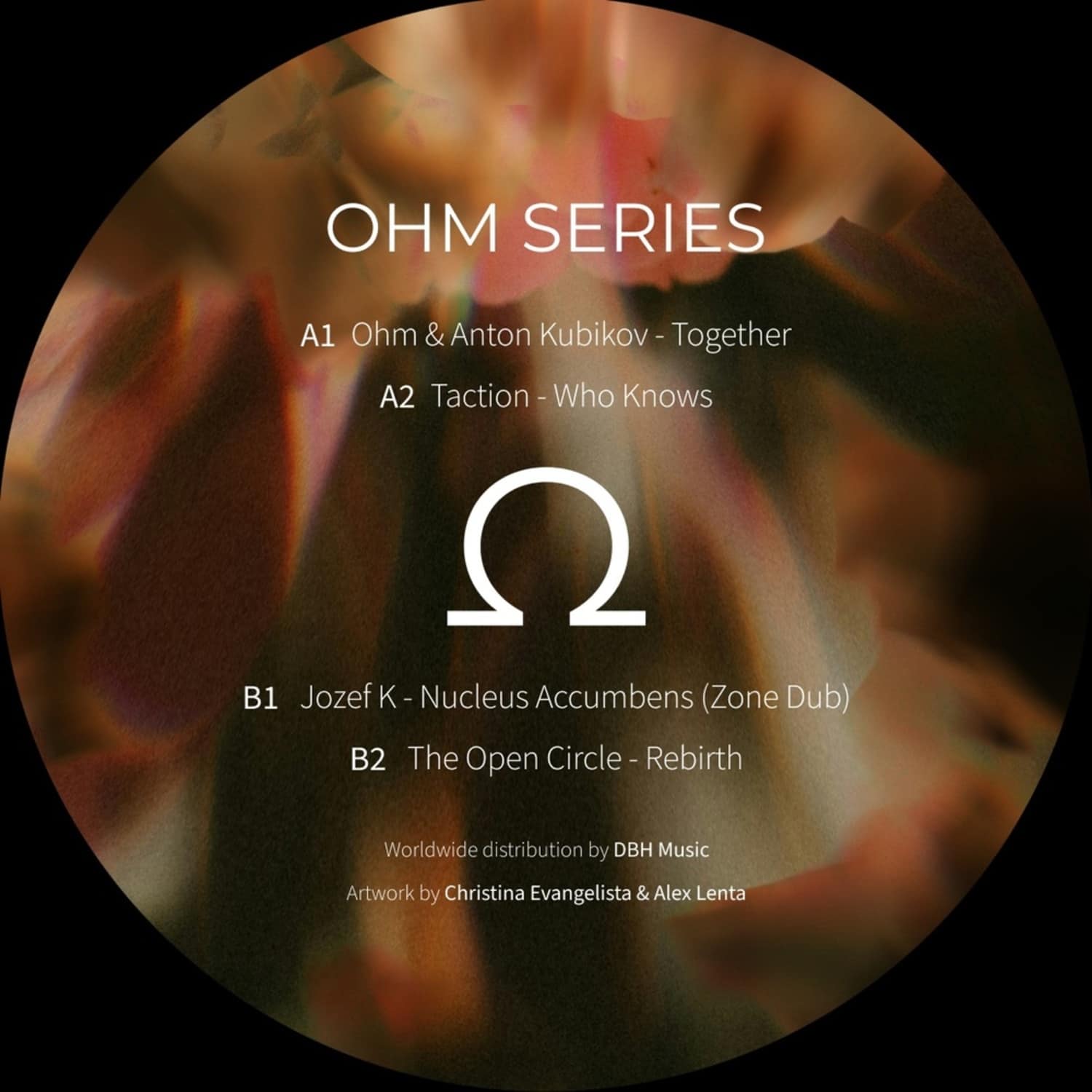Various Artistrs - OHM SERIES 16
