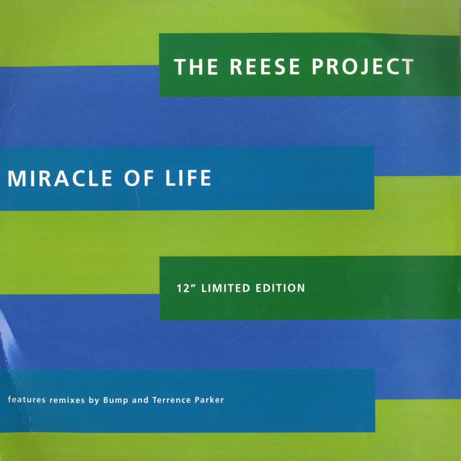 The Reese Project - MIRACLE OF LIFE