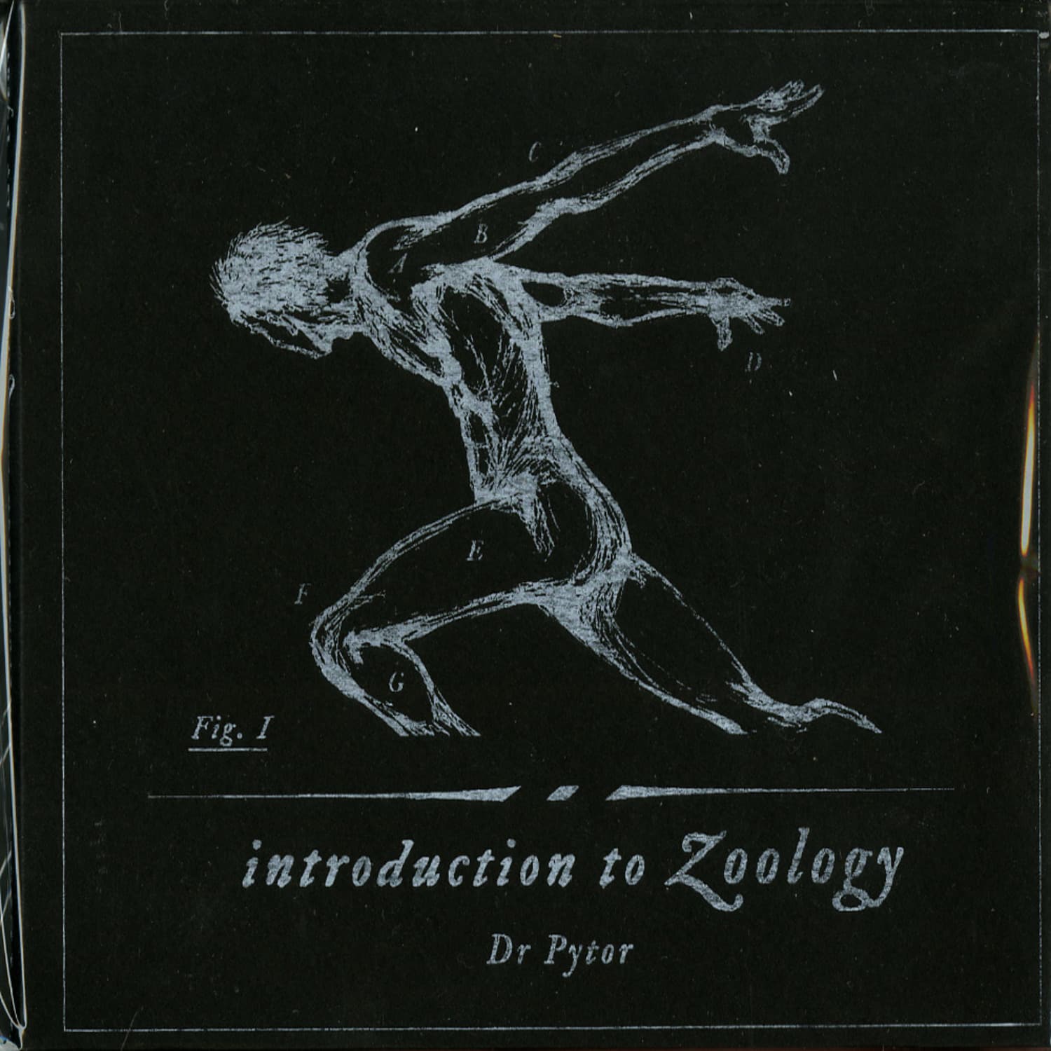 Dr. Pytor - INTRODUCTION TO ZOOLOGY 
