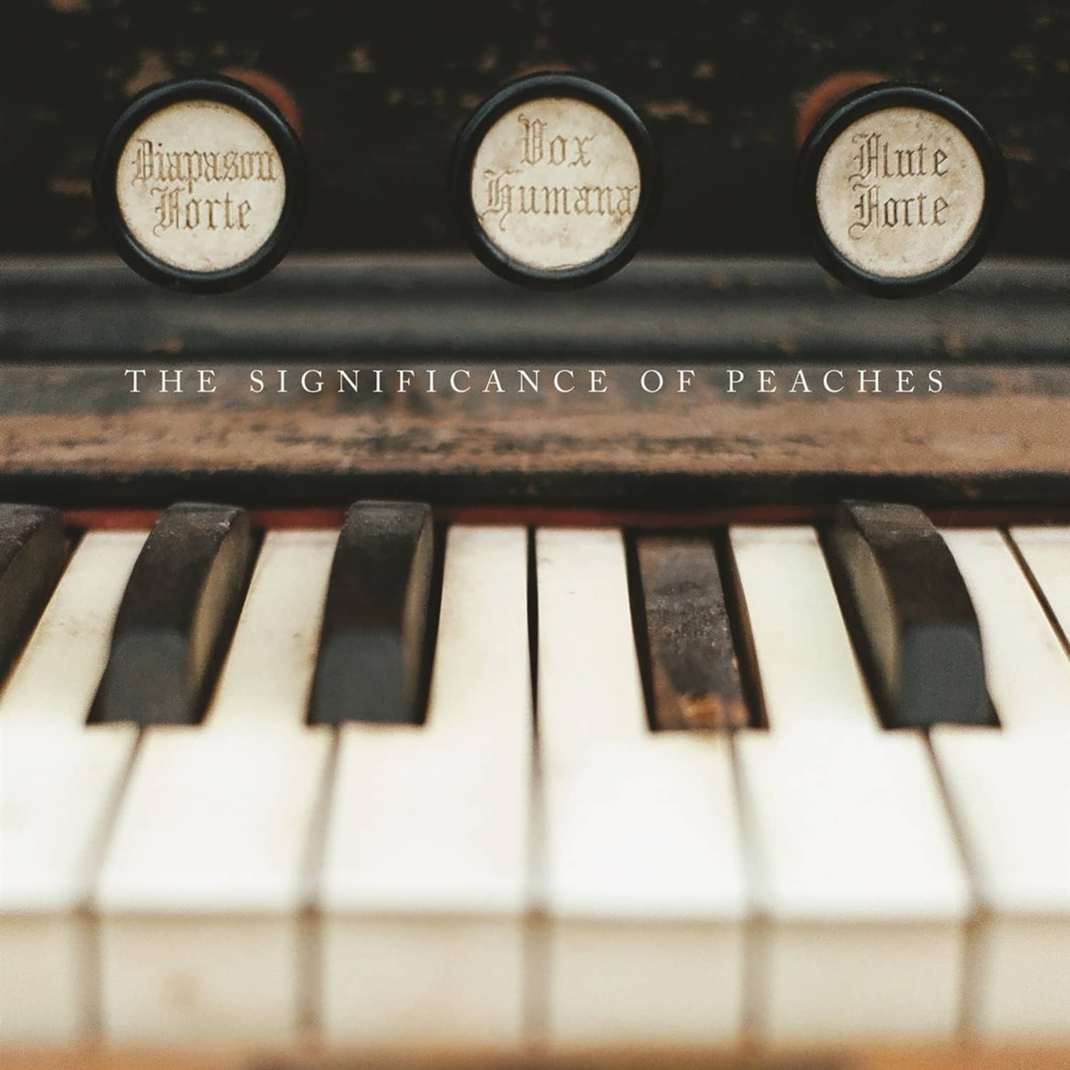 Chris Bathgate - THE SIGNIFICANCE OF PEACHES 