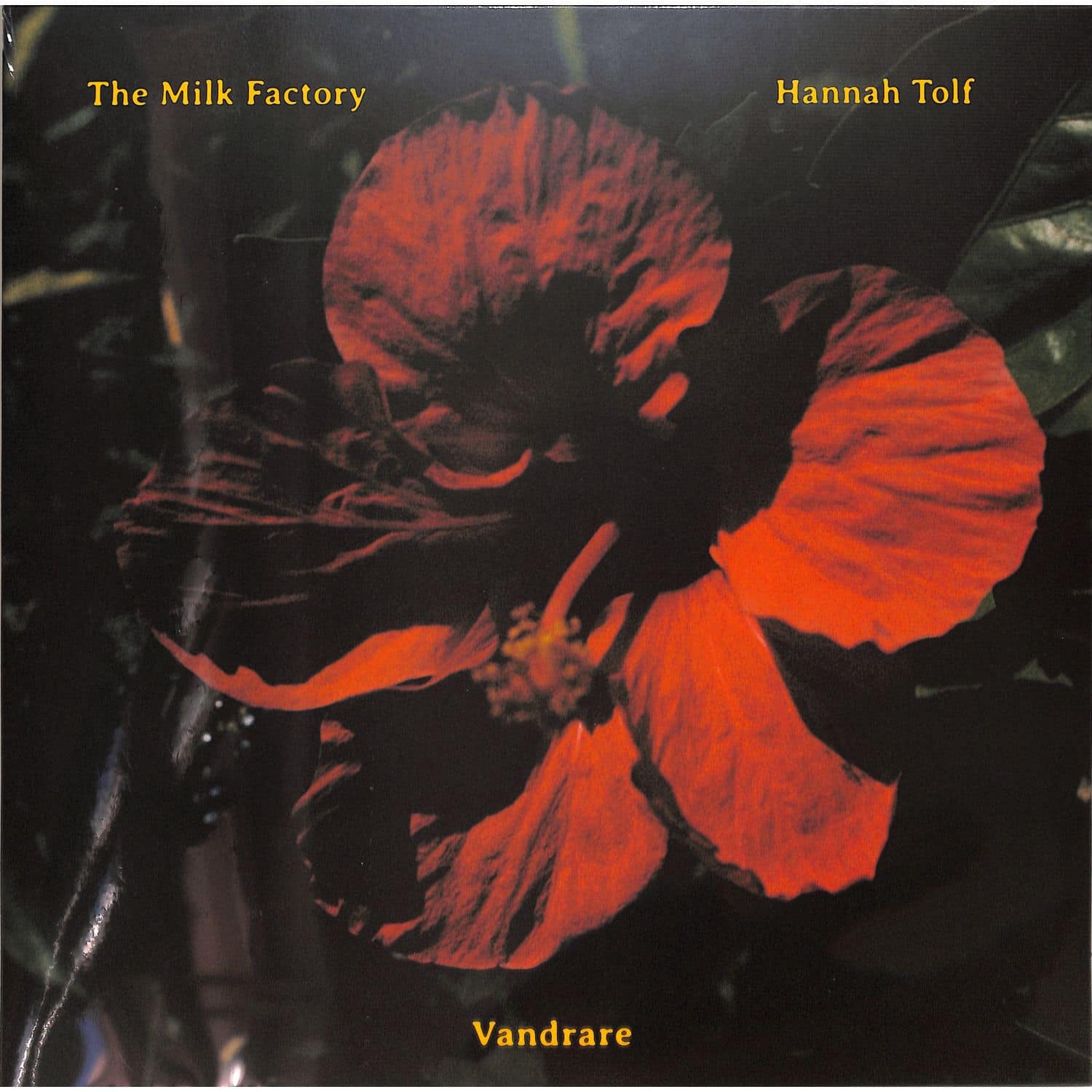 The Milk Factory & Hannah Tolf - VANDRARE 