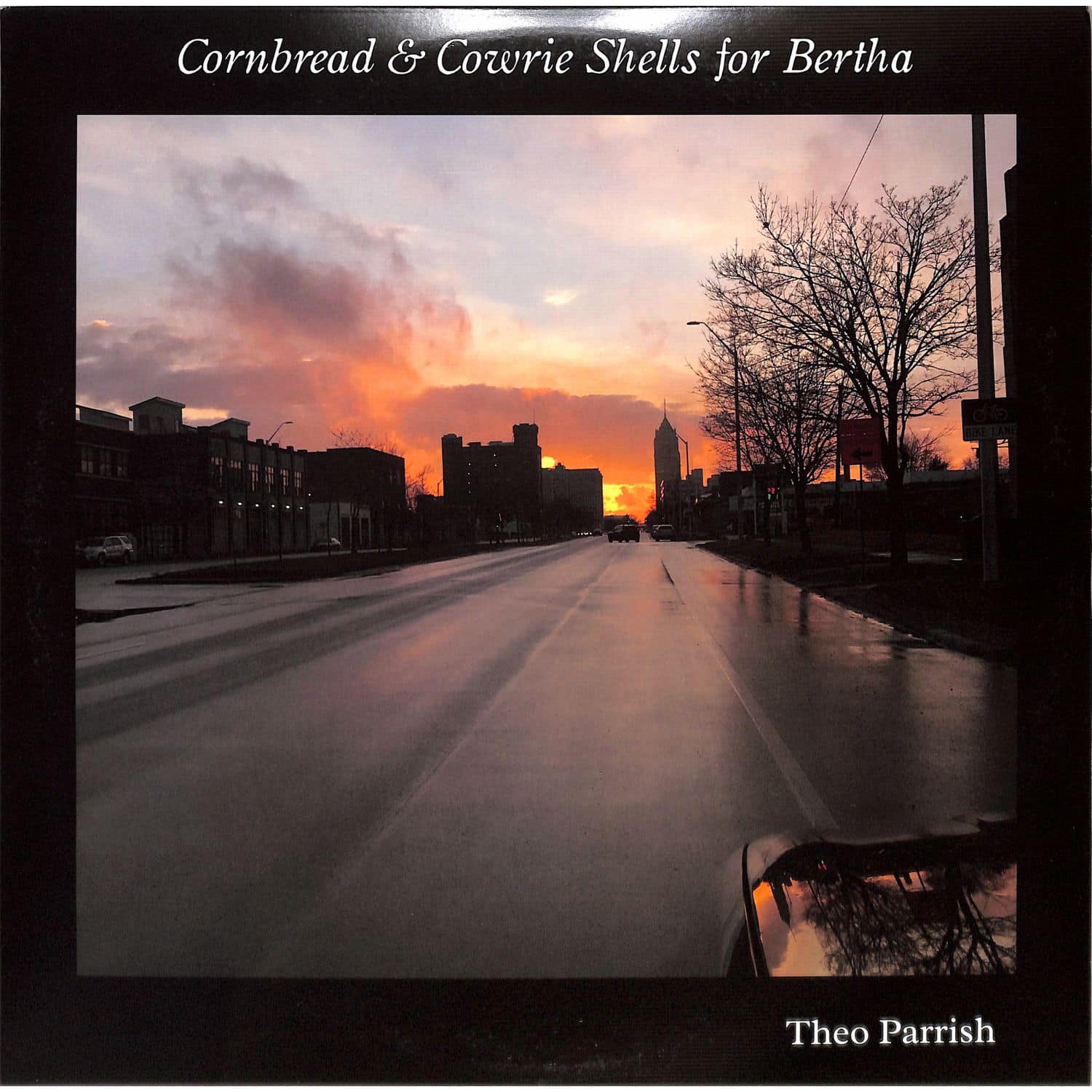 Theo Parrish - CORNBREAD AND COWRIE SHELLS FOR BERTHA 
