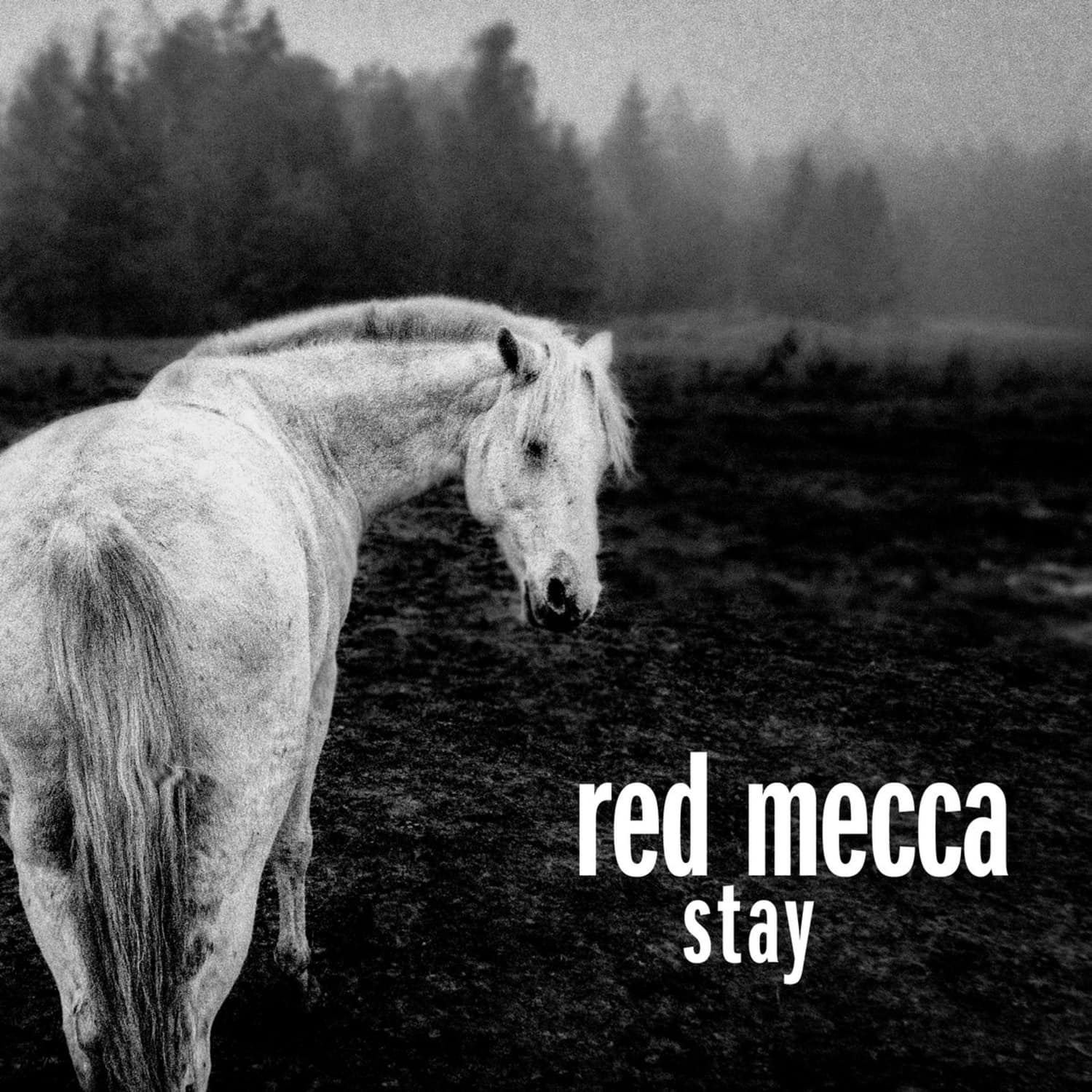 Red Mecca - STAY 