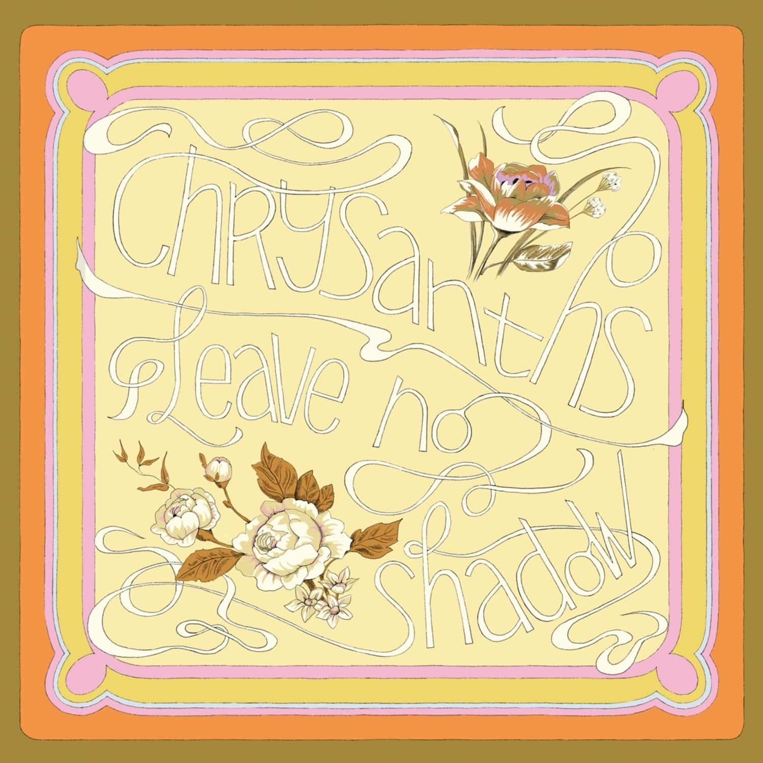 Chrysanths - LEAVE NO SHADOW 