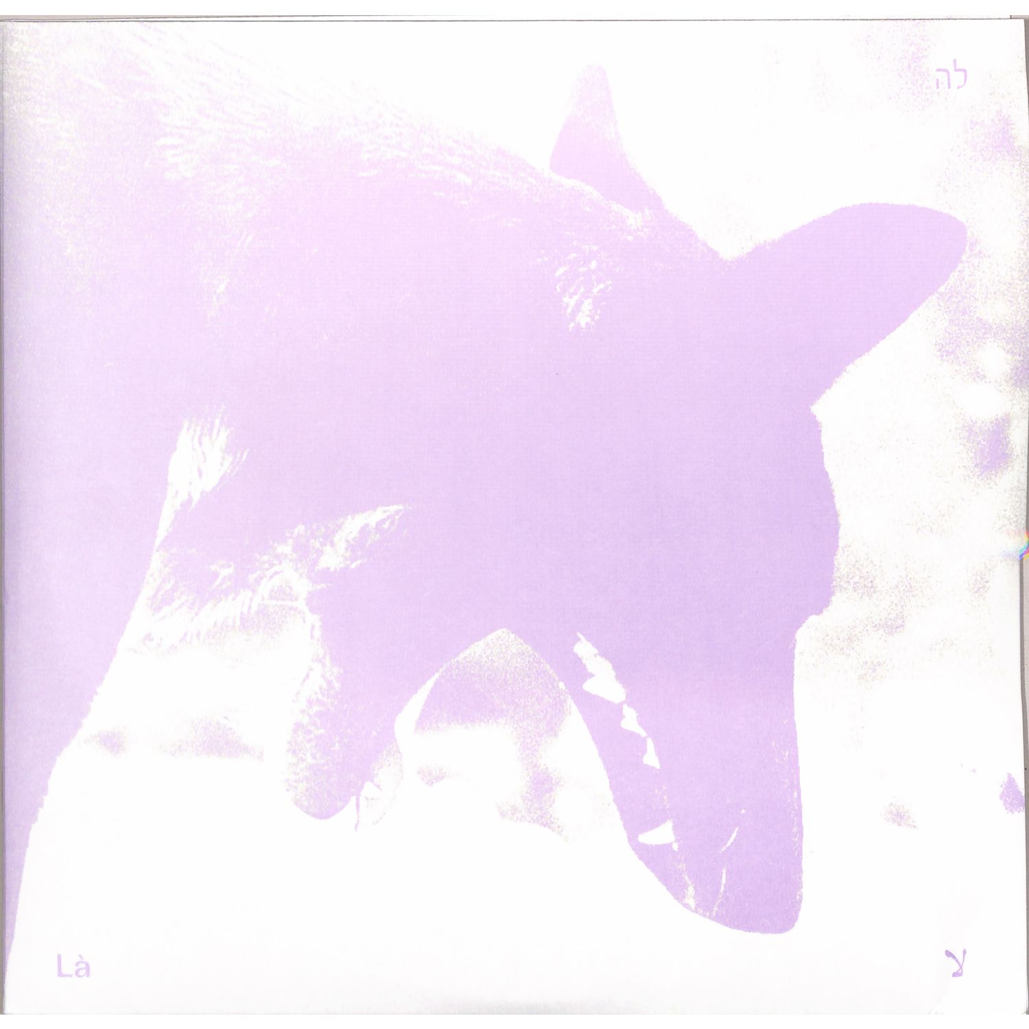 Laszlo Umbreit Sirah Foighel Brutmann & Eitan Efrat - LA 