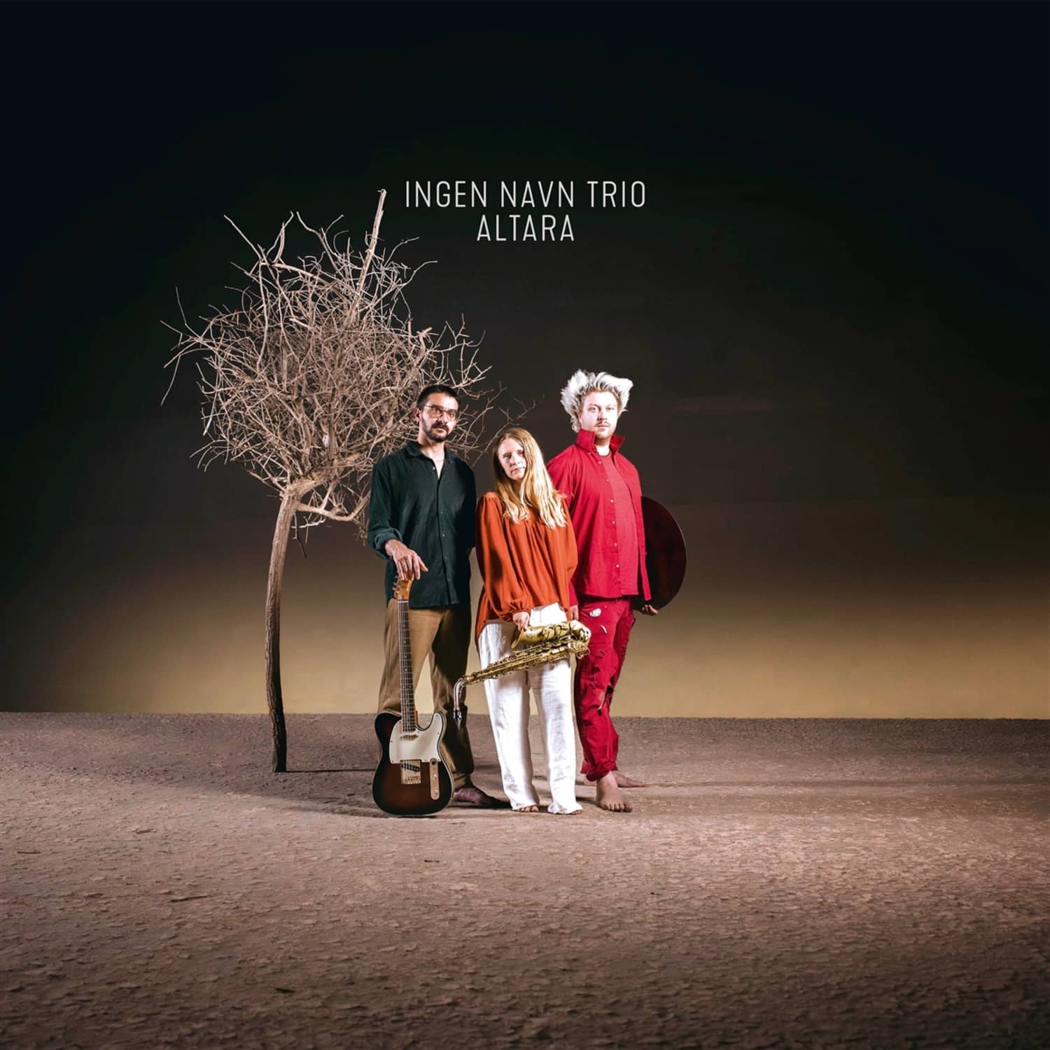 Ingen Navn Trio - ALTARA 