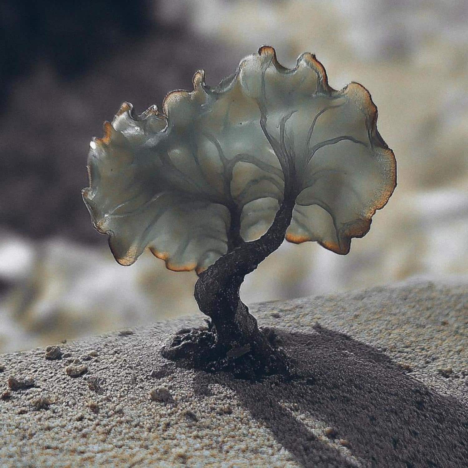 Justin Berkovi - SMV013