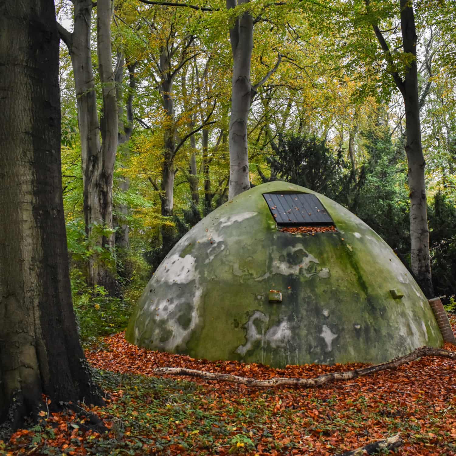 In Transit - IN TRANSIT 