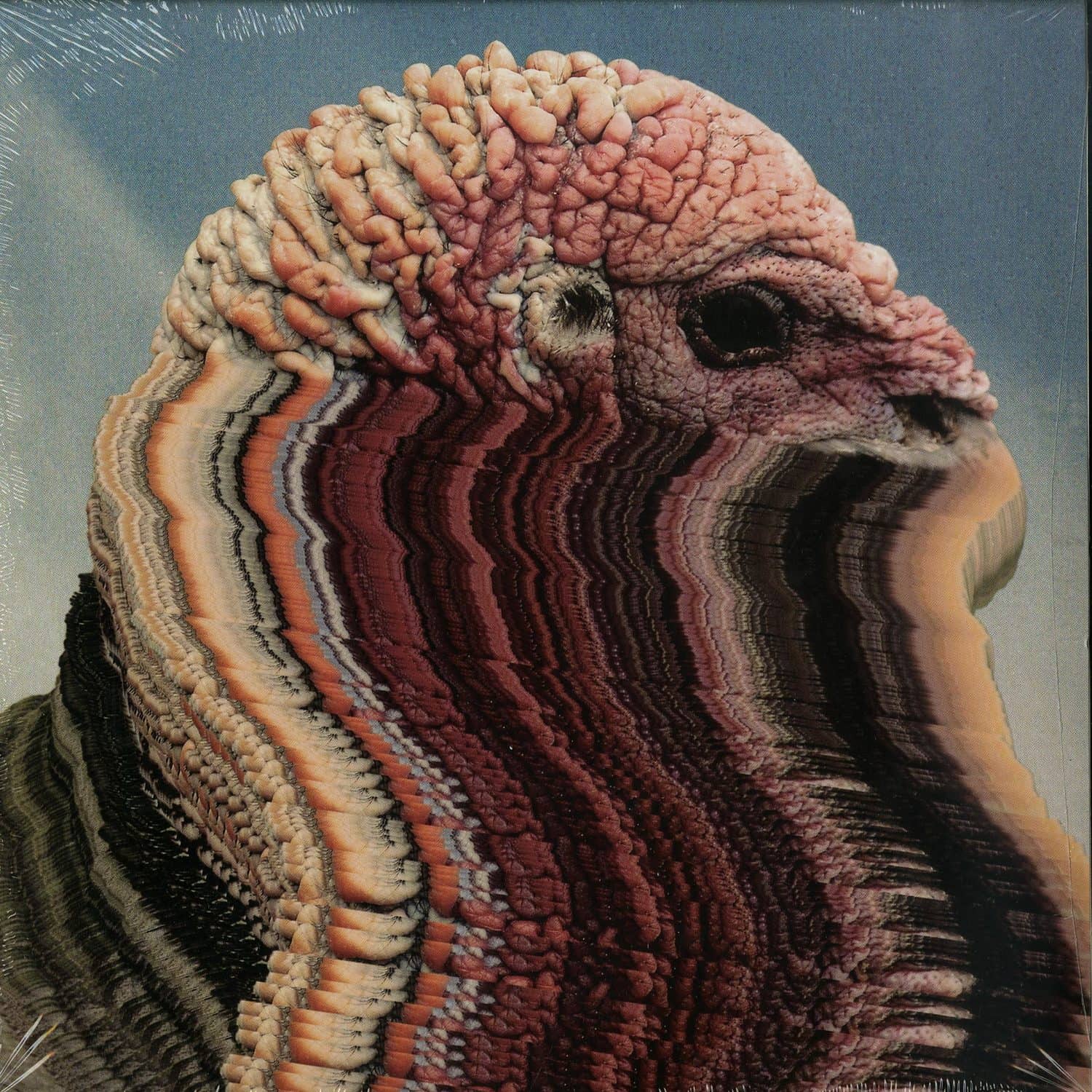Holy Fuck - BIRD BRAINS 