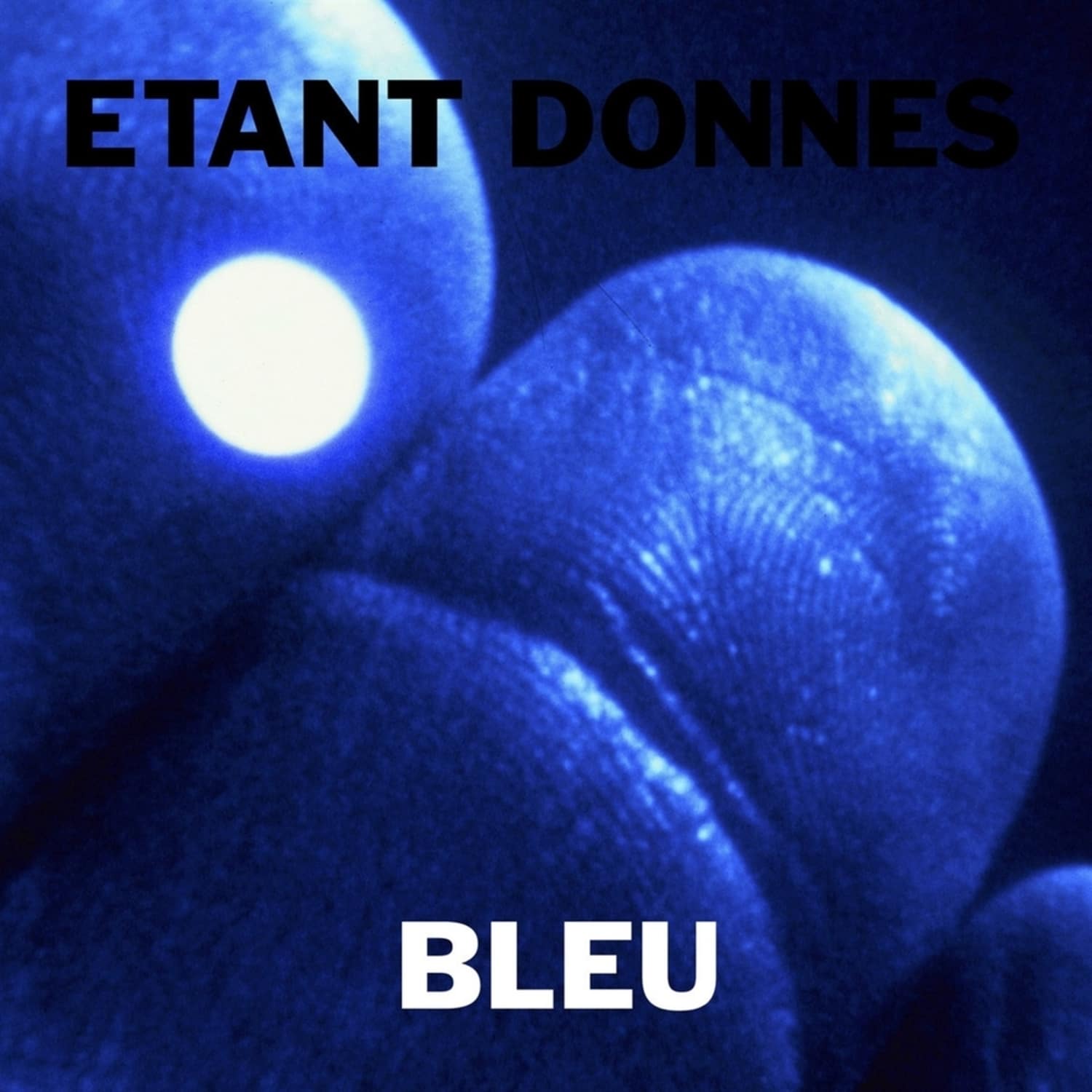 Etant Donnes - BLEU 