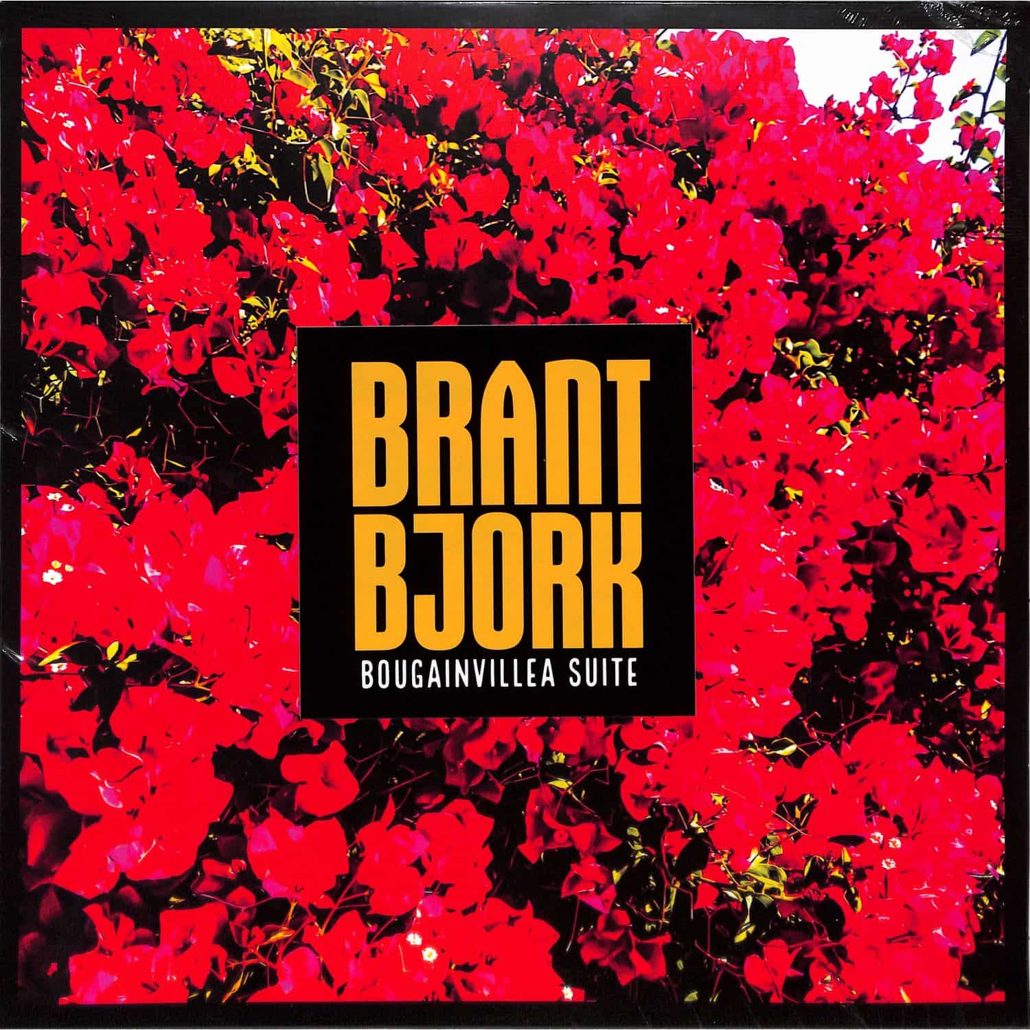 Brant Bjork - BOUGAINVILLEA SUITE 