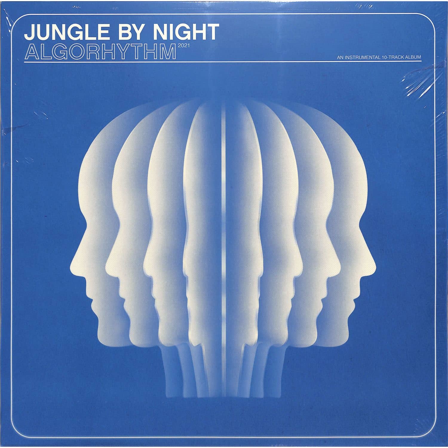 Jungle By Night - ALGORHYTHM 