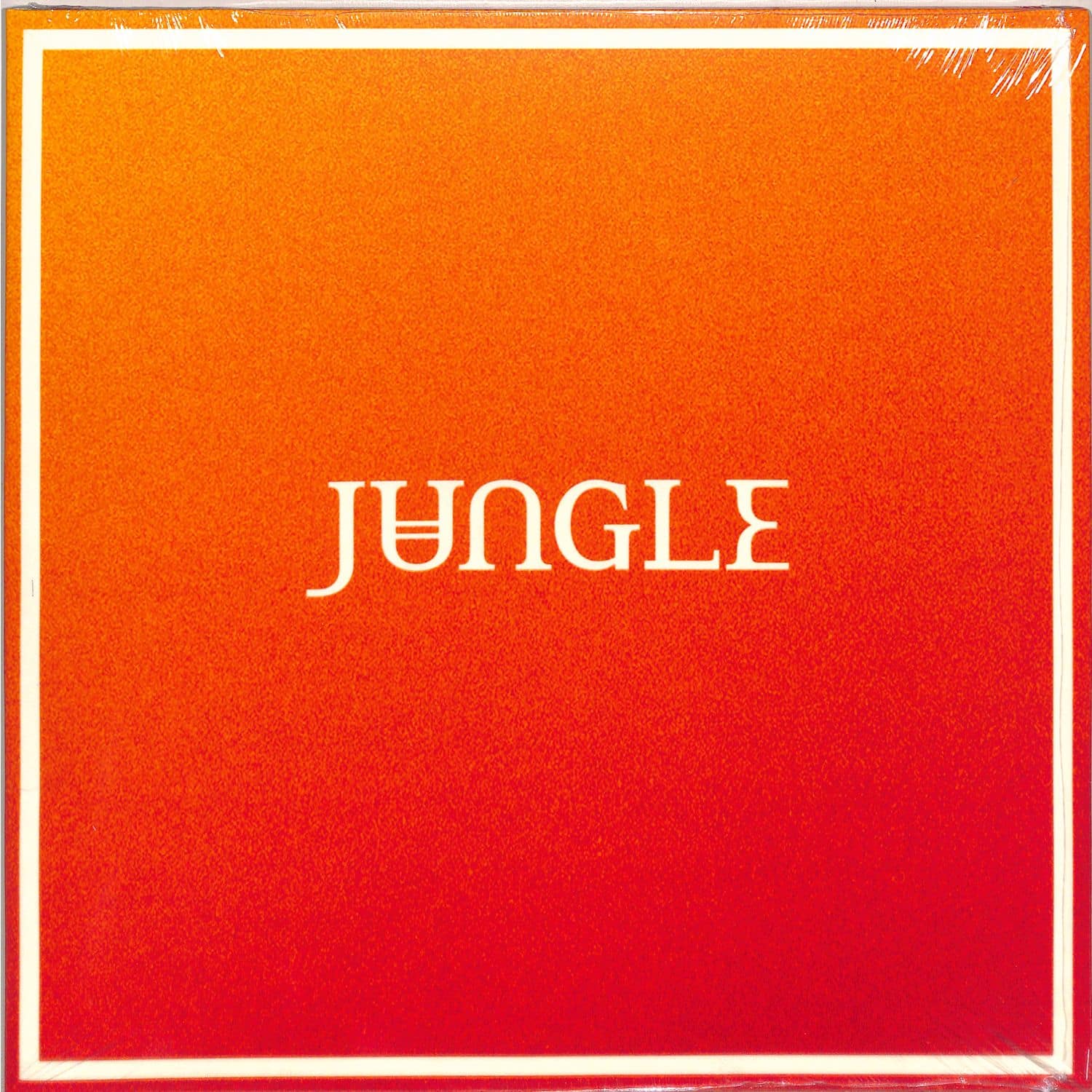 Jungle - VOLCANO 